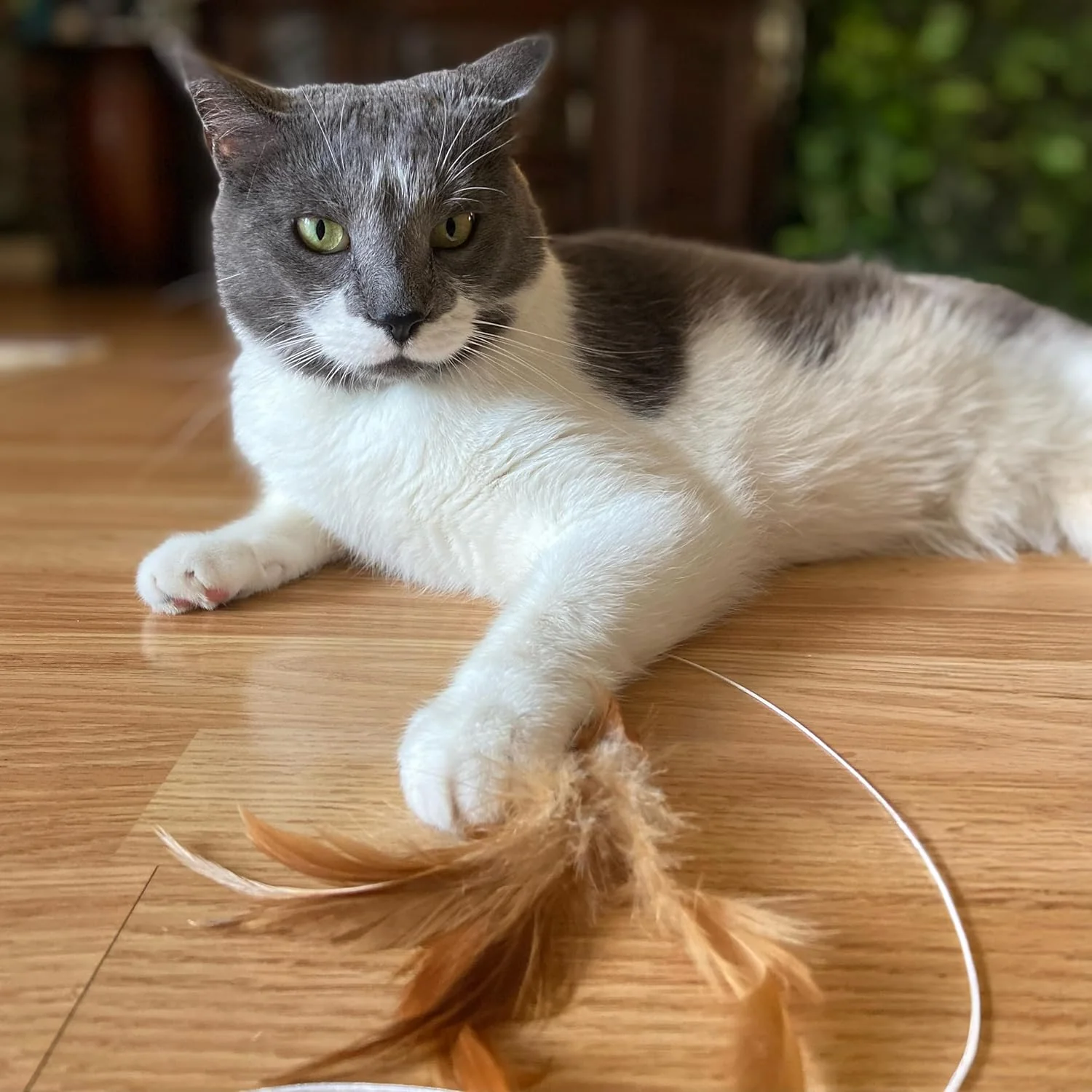SPOT Fishing Rod 'N Reel Kitty Teaser - Cat Toy Fishing Pole Casts a Line Over 7 Feet with Working Reel Locks in Line When You Make Your Catch, Feather End Teases and Entices Cats to Pounce and Chase - Image 3