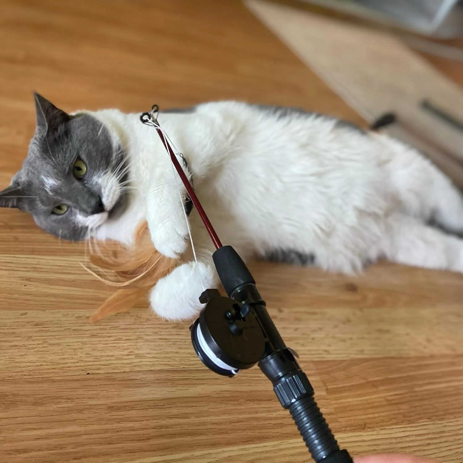 SPOT Fishing Rod 'N Reel Kitty Teaser - Cat Toy Fishing Pole Casts a Line Over 7 Feet with Working Reel Locks in Line When You Make Your Catch, Feather End Teases and Entices Cats to Pounce and Chase - Image 4