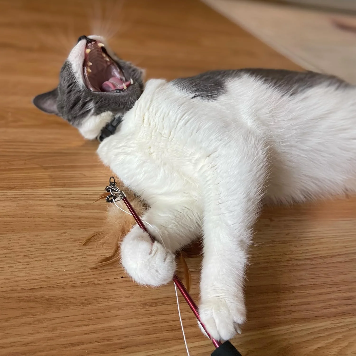 SPOT Fishing Rod 'N Reel Kitty Teaser - Cat Toy Fishing Pole Casts a Line Over 7 Feet with Working Reel Locks in Line When You Make Your Catch, Feather End Teases and Entices Cats to Pounce and Chase - Image 5