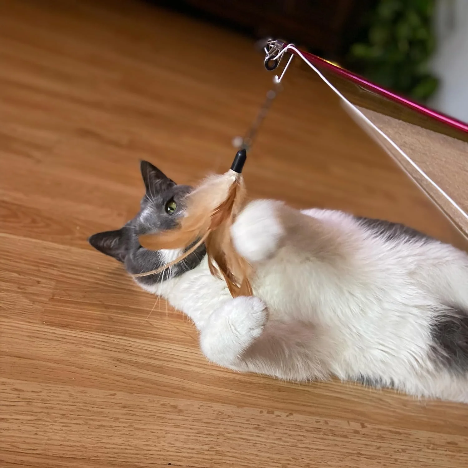 SPOT Fishing Rod 'N Reel Kitty Teaser - Cat Toy Fishing Pole Casts a Line Over 7 Feet with Working Reel Locks in Line When You Make Your Catch, Feather End Teases and Entices Cats to Pounce and Chase - Image 6