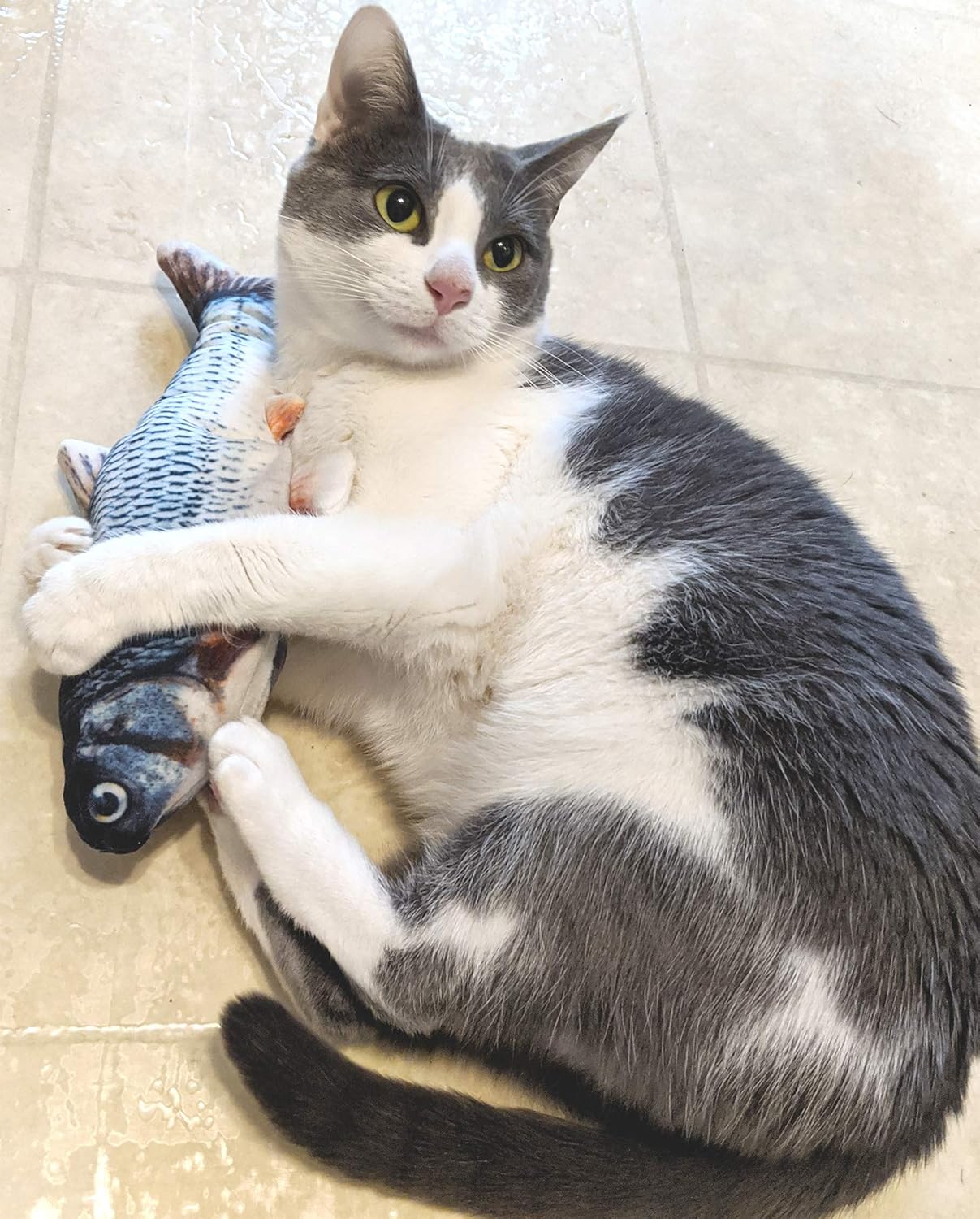 SPOT Flippin' Fish Interactive Cat Toy with Catnip for Indoor Cats & Kittens - Touch Activated, Flipping Tail, Rechargeable with USB, Hours of Fun - 11.5 inch - Image 3