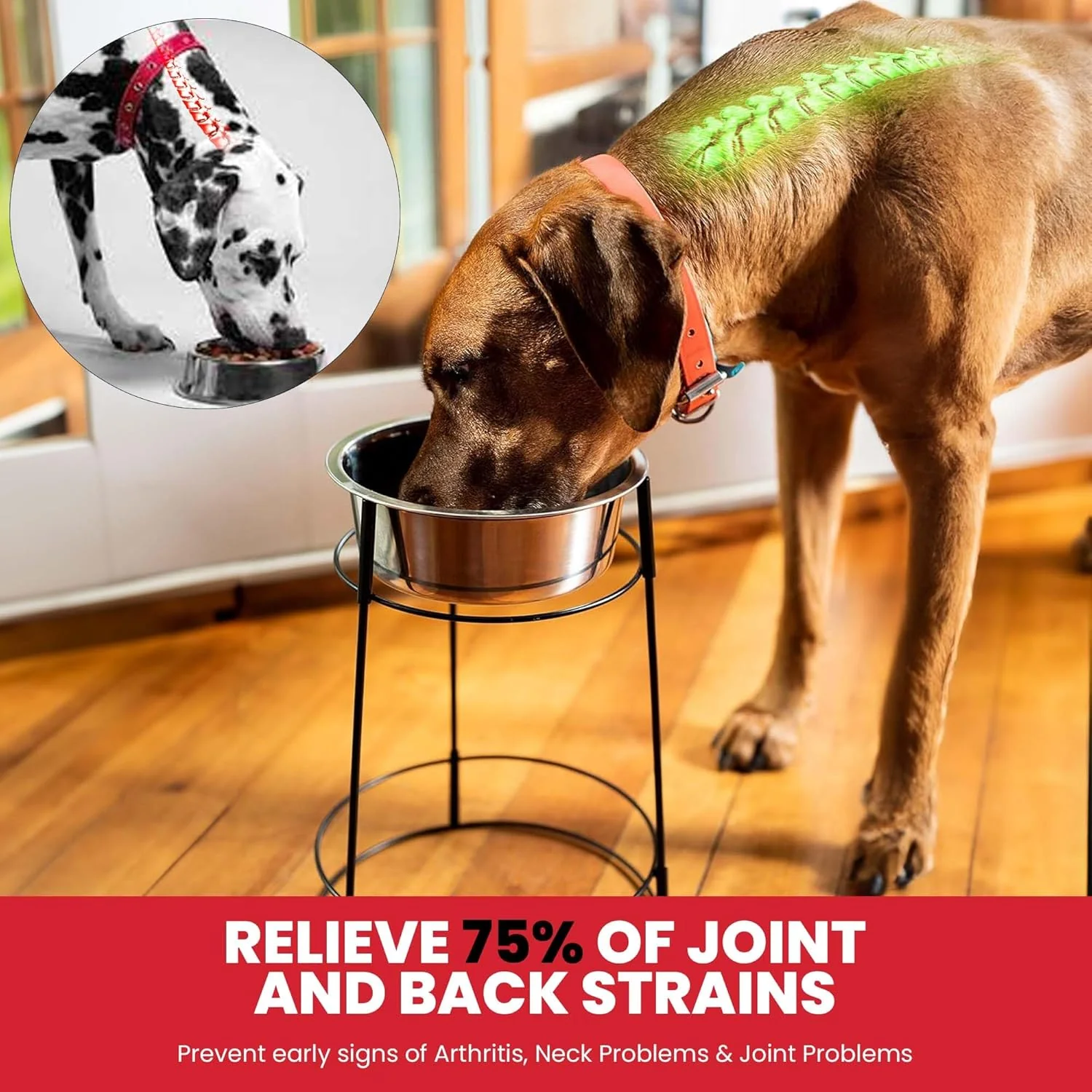 SPOT Hi Rise Single Diner Elevated Dog Feeder, 2qt Stainless Steel Bowl, Durable Wire Stand, Hygienic, Easy to Clean, Promotes Proper Posture for Tall Pets, Ideal for Medium and Large Breeds - Image 4