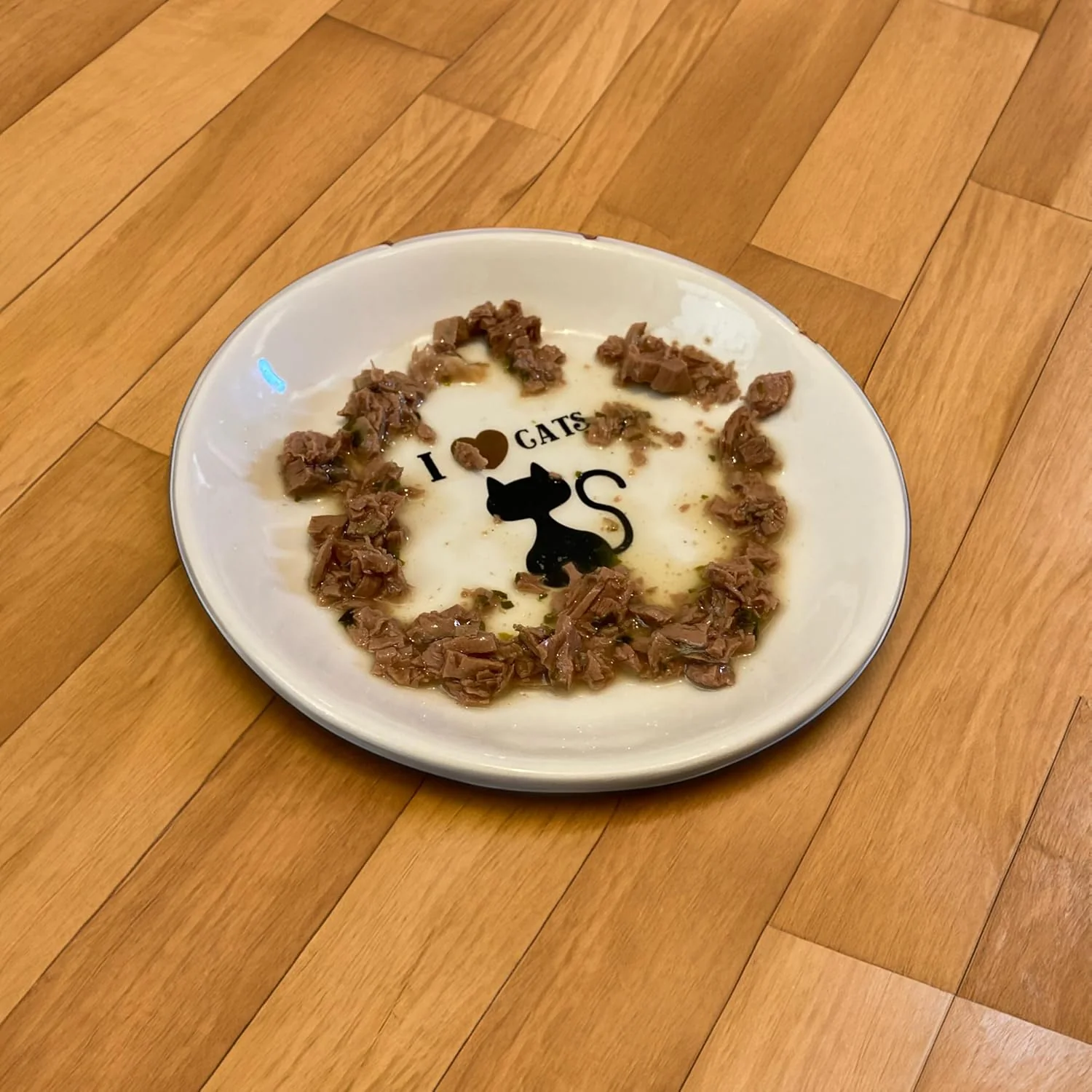 SPOT I Love Cats Round Cat Food Dish - Ceramic Plate with Low Edges, Saucer with Whisker-Friendly Shape and Low Profile Sides, Ideal for Wet or Dry Cat Food, Dishwasher Safe- 5 inch- 1 Cup (8Oz) - Image 2