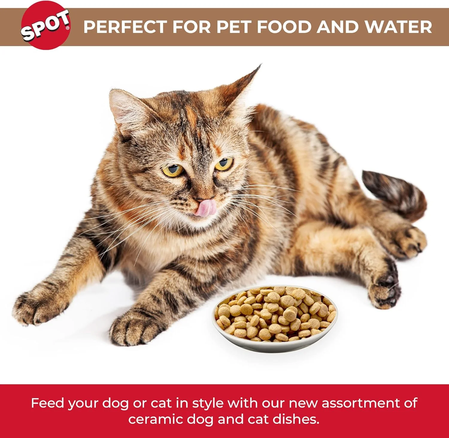 SPOT I Love Cats Round Cat Food Dish - Ceramic Plate with Low Edges, Saucer with Whisker-Friendly Shape and Low Profile Sides, Ideal for Wet or Dry Cat Food, Dishwasher Safe- 5 inch- 1 Cup (8Oz) - Image 4