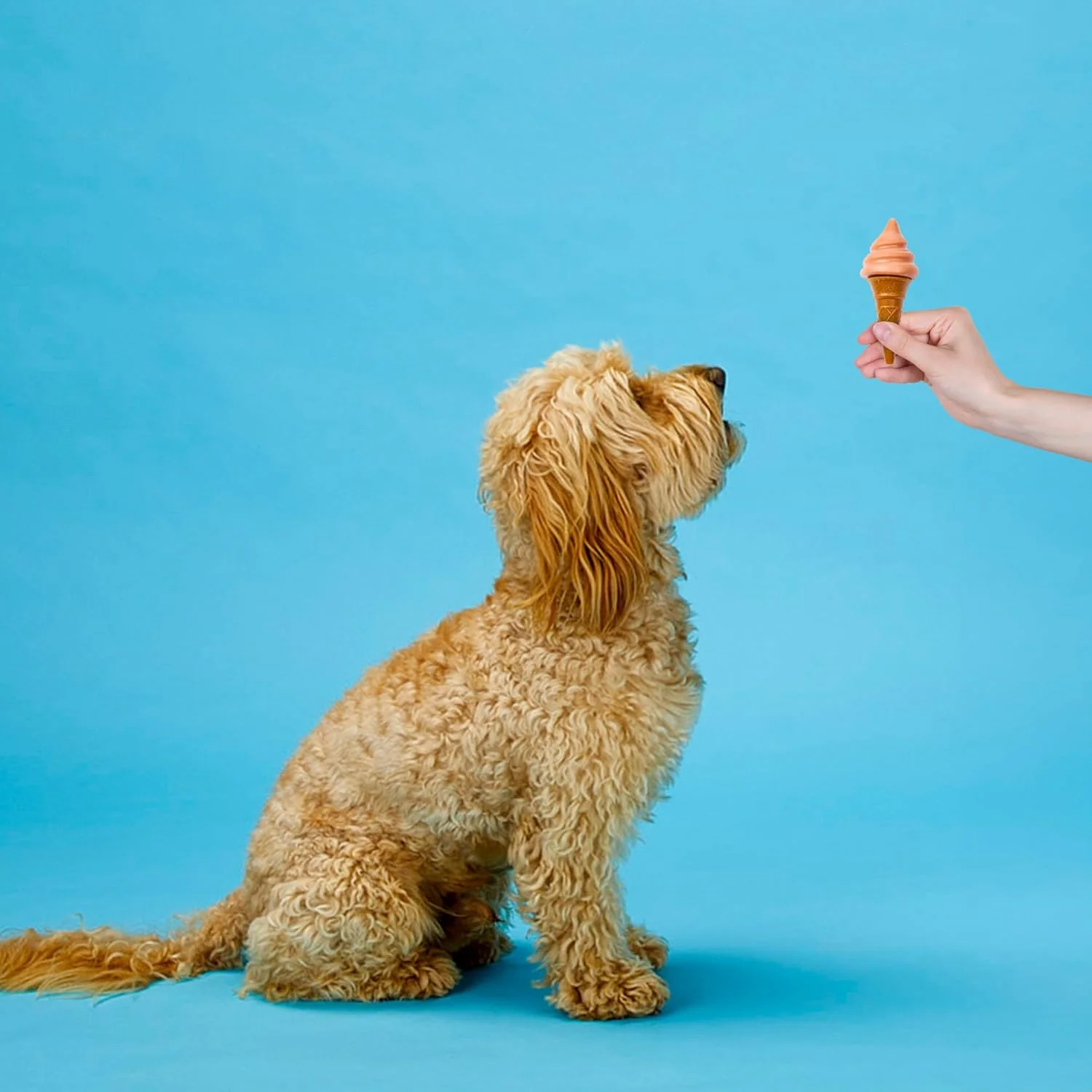 SPOT Pup Ice- Ready to Freeze at Home Dog Treats-Edible Chews for Medium Breed Dogs & Puppies with Real Chicken to Keep Your Pup Cool Year Round, Waffle Cone Strawberry Flavor, 2pcs - Image 8