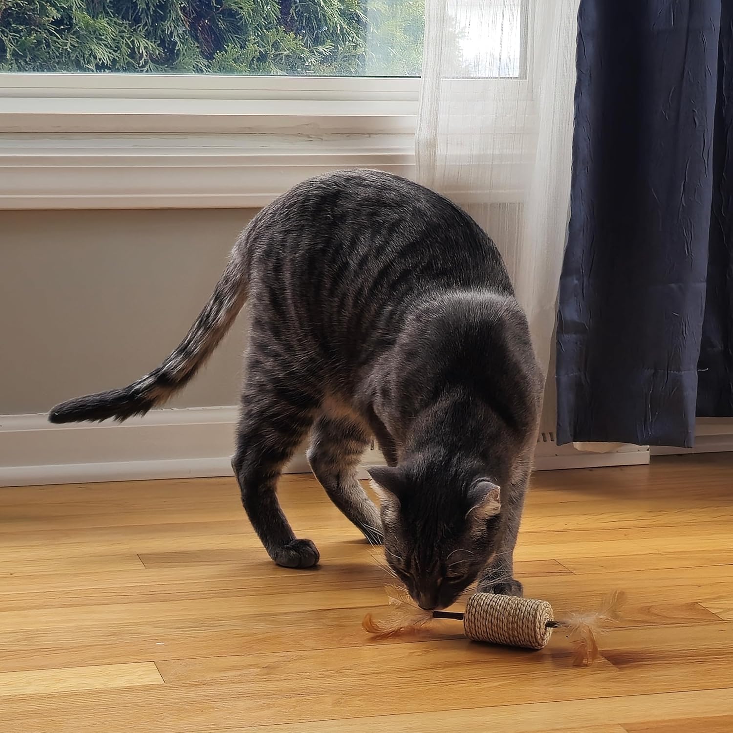 SPOT Naturals Silver Vine Cat Toy – Natural Interactive Enrichment for Cats, Stimulates Play and Reduces Stress, Durable and Safe, Perfect for Indoor Cats and Kittens, Assorted Styles, 1 Piece - Image 9