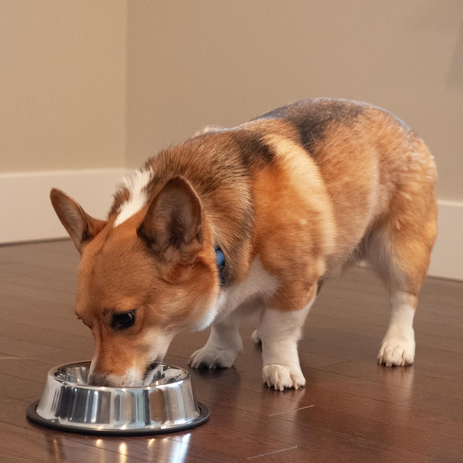 SPOT No-Tip Pet Bowl for Cats Small Dogs Large Dogs Classic Durable Non Slip Cat Dish Dog Bowls for Food and Water - Image 3
