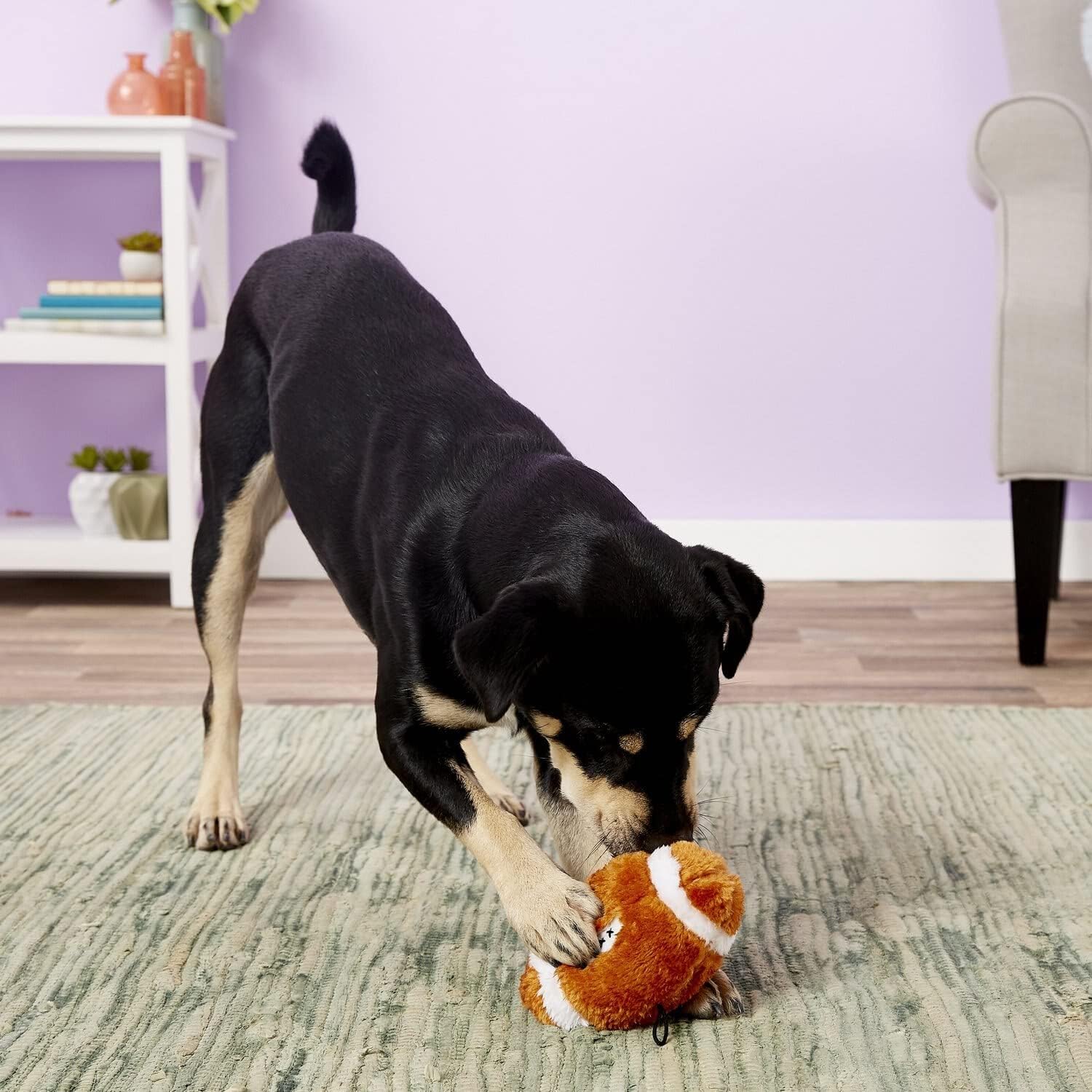 SPOT Plush Football Dog Toy - Image 6