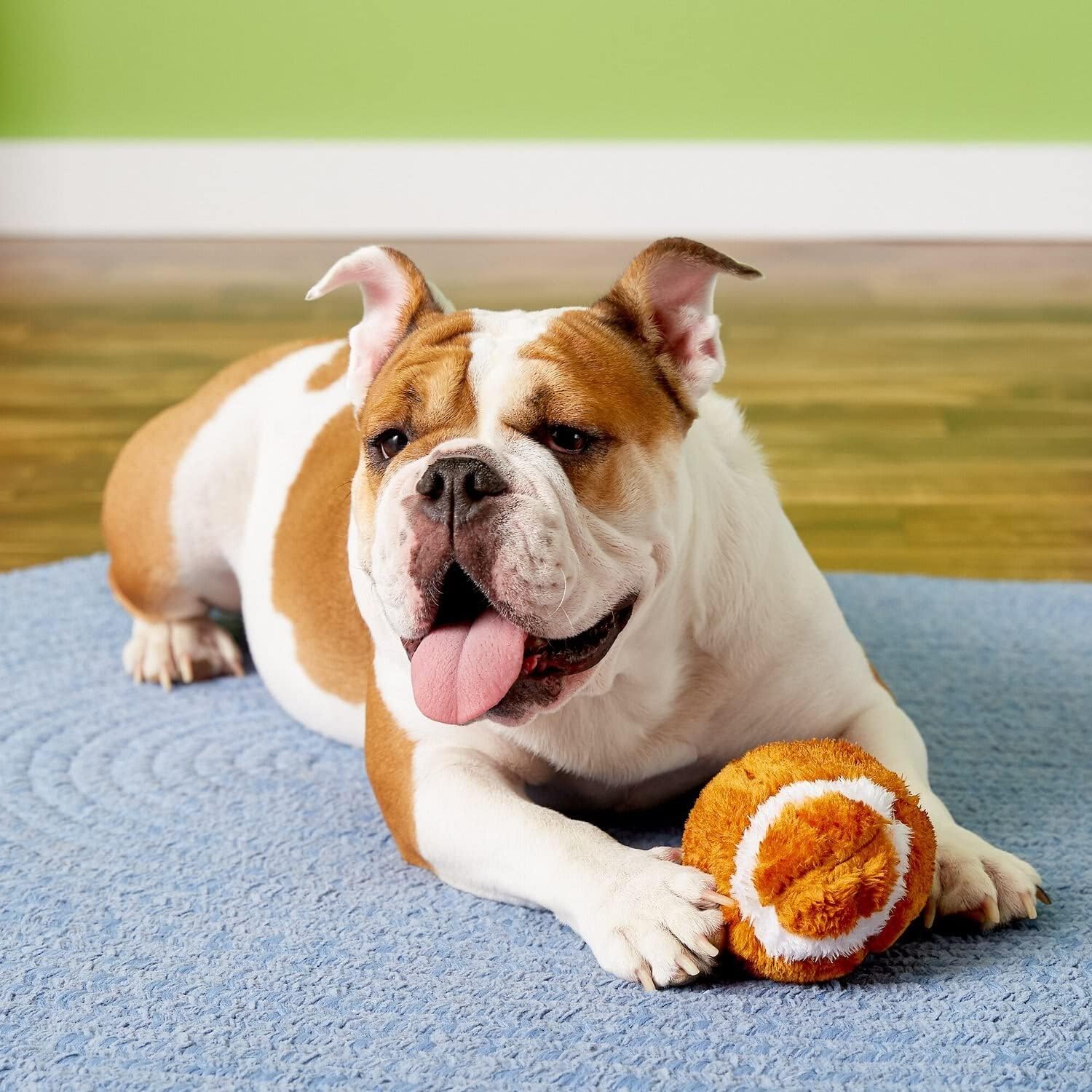 SPOT Plush Football Dog Toy - Image 7