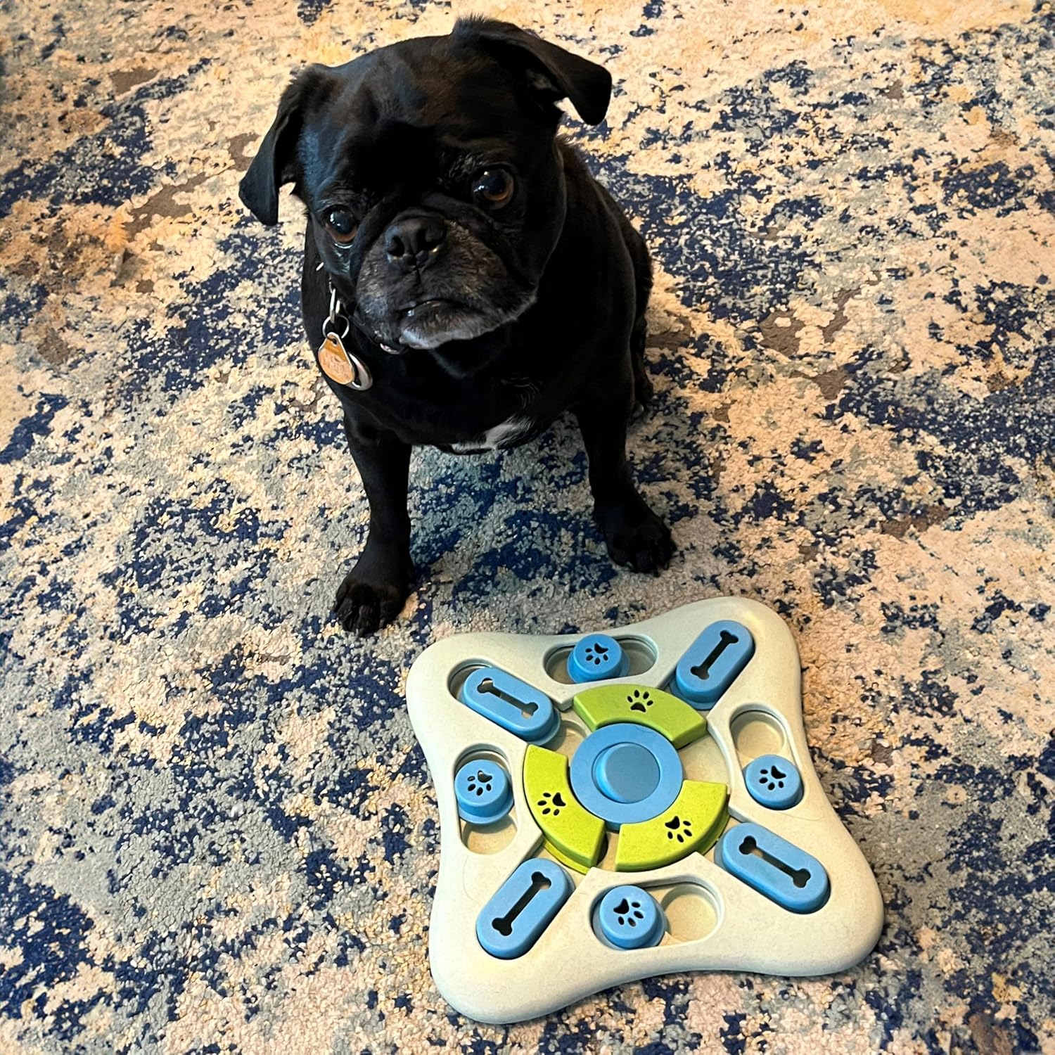 SPOT Seek A Treat Slide' N Turn Puzzle -Interactive Dog Puzzle Toy for Small, Medium & Large Smart Dogs and Cats, Squeaky, Enrichment and Mentally Stimulating Toy for Training and Boredom Buster - Image 3