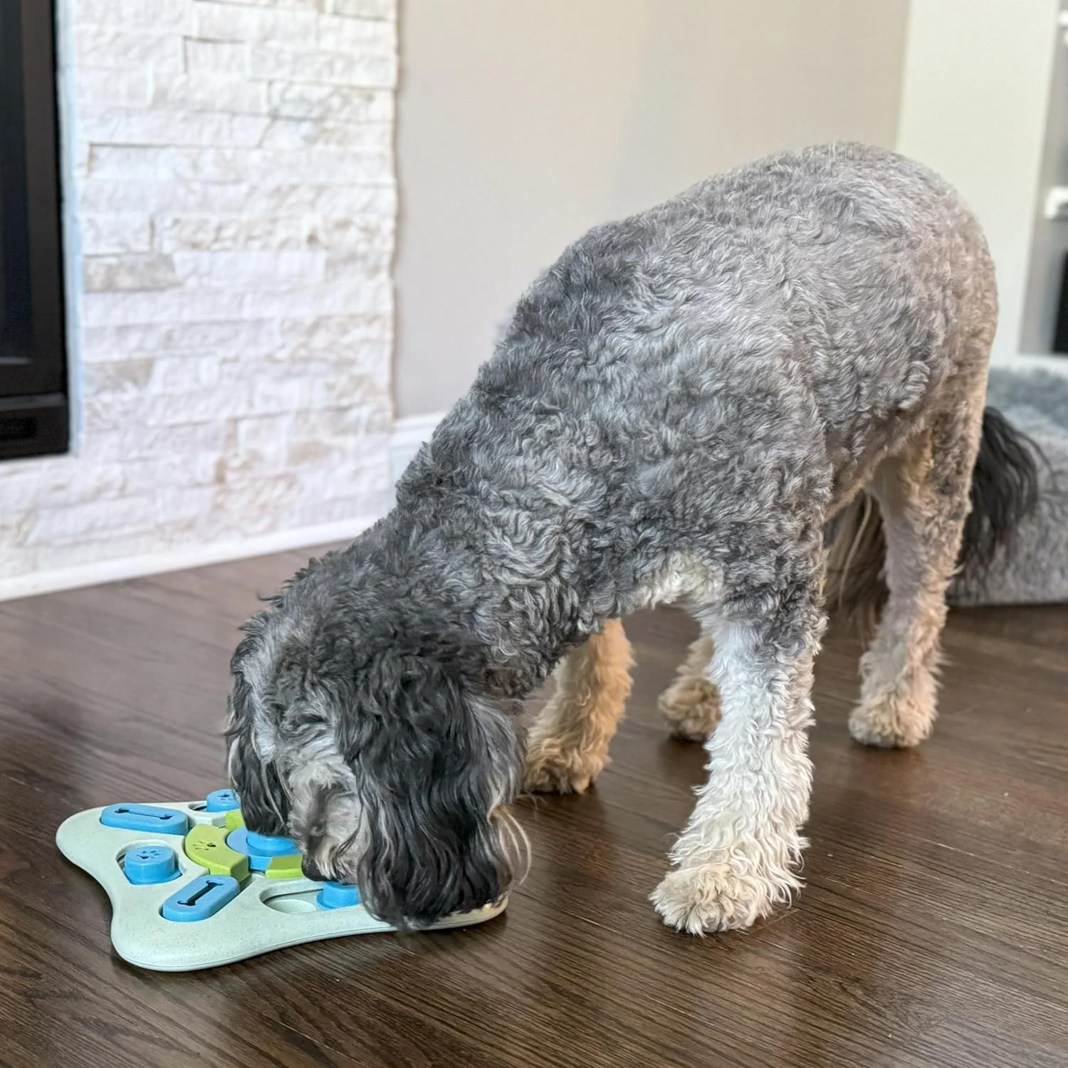 SPOT Seek A Treat Slide' N Turn Puzzle -Interactive Dog Puzzle Toy for Small, Medium & Large Smart Dogs and Cats, Squeaky, Enrichment and Mentally Stimulating Toy for Training and Boredom Buster - Image 5