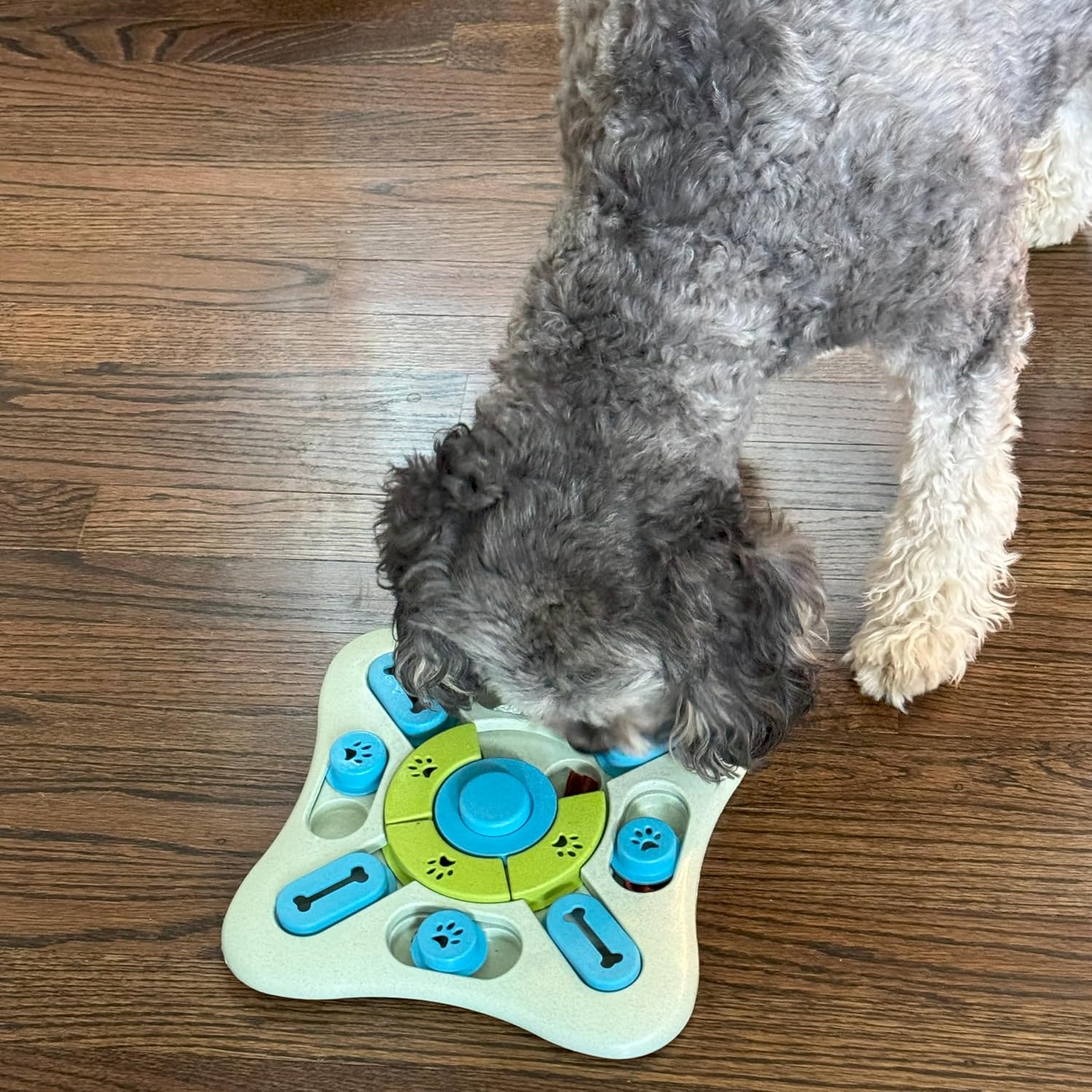 SPOT Seek A Treat Slide' N Turn Puzzle -Interactive Dog Puzzle Toy for Small, Medium & Large Smart Dogs and Cats, Squeaky, Enrichment and Mentally Stimulating Toy for Training and Boredom Buster - Image 6