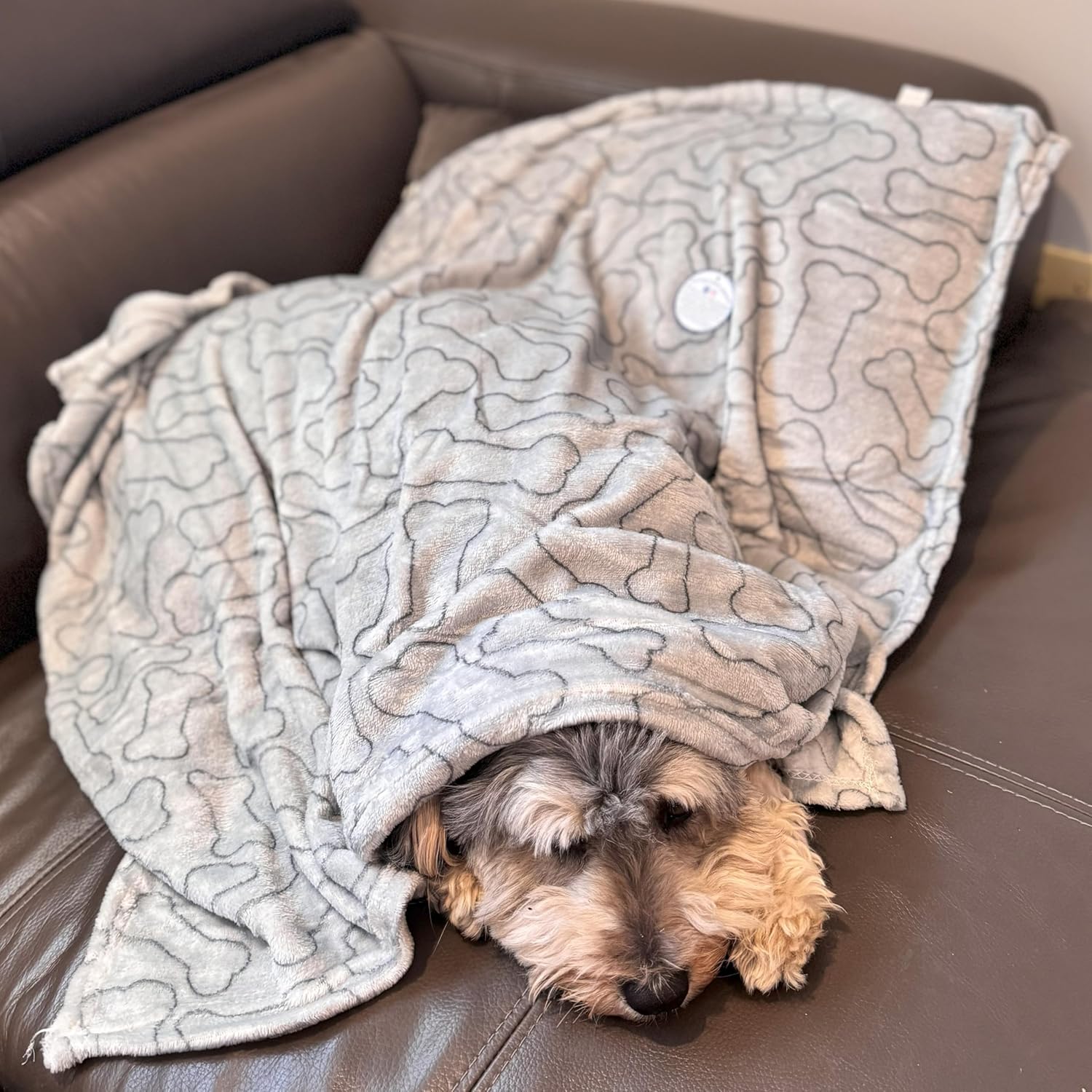 SPOT Snuggler Bones Blanket - Ultra Soft, Machine Washable Dog Blanket for Beds, Furniture Protection, Travel, and Crates - Image 4