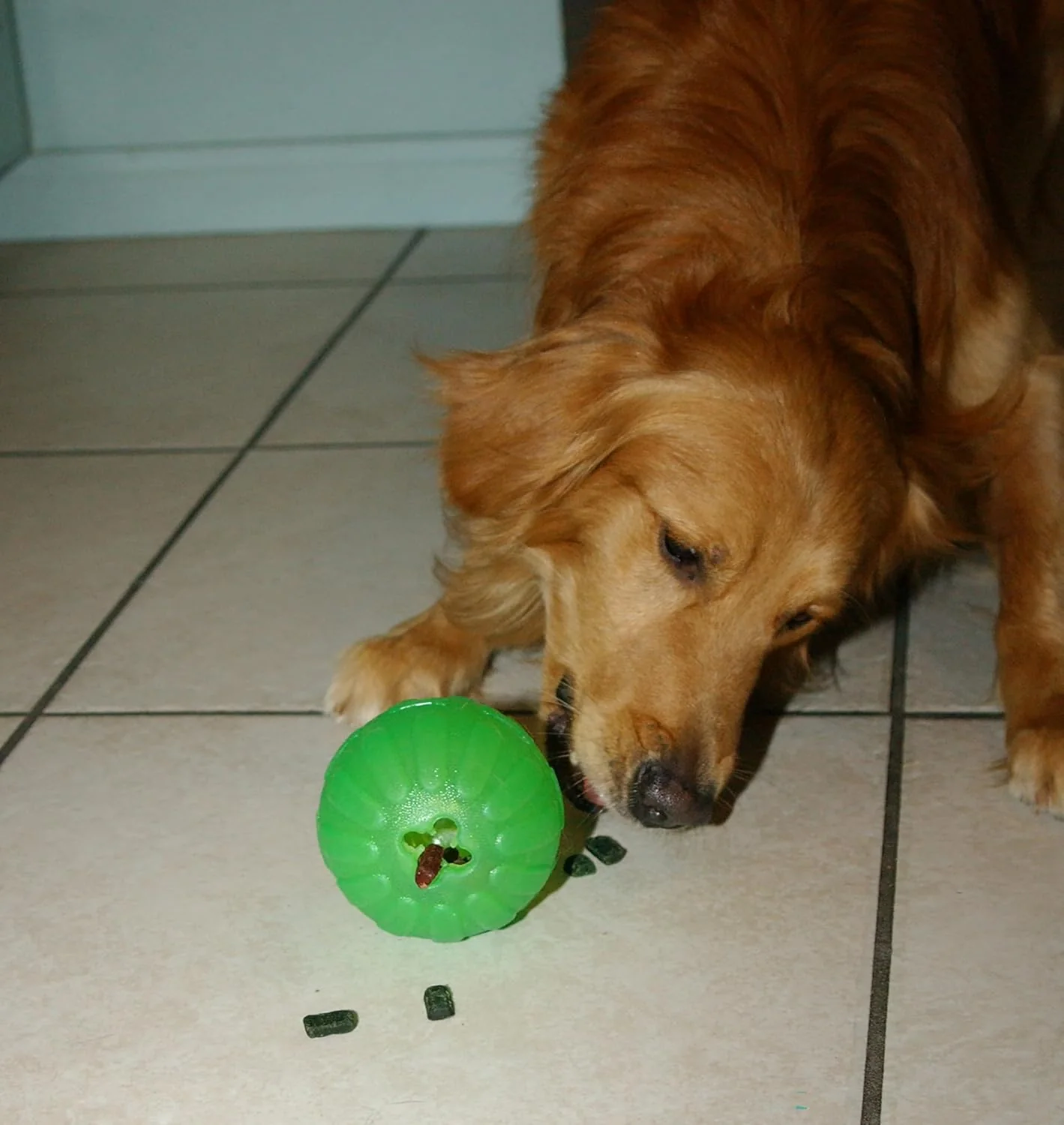 Starmark Treat Dispensing Chew Ball Tough Dog Toy, Medium/Large - Image 6