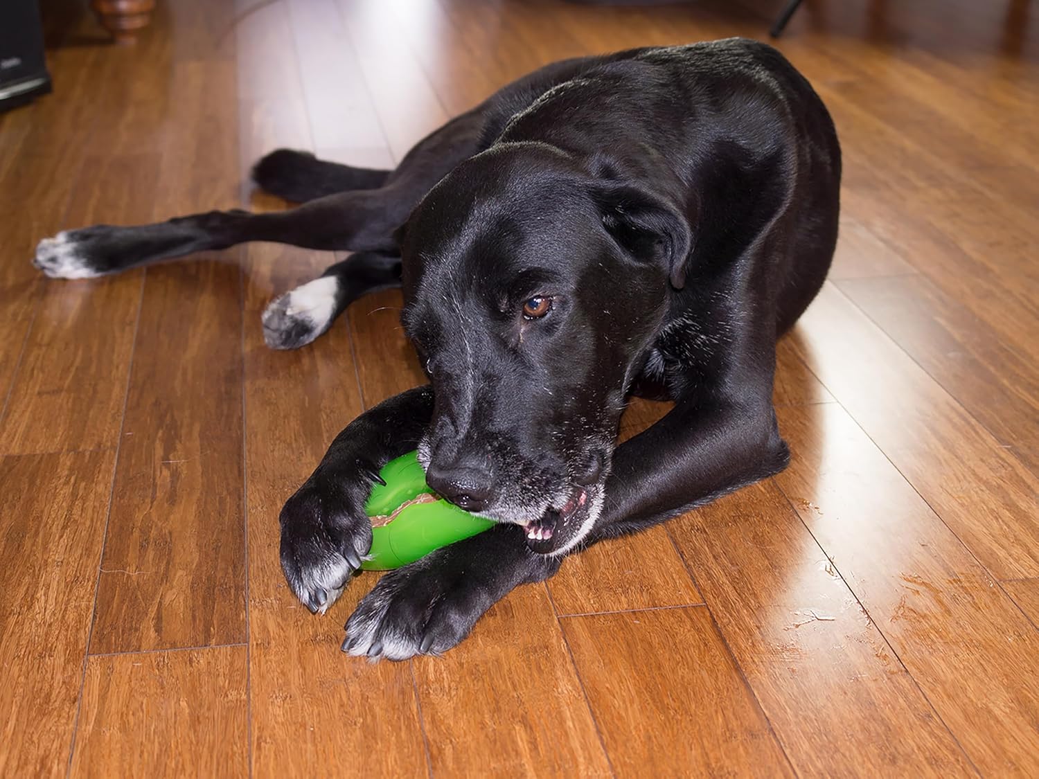 Starmark Treat Dispensing Pickle Pocket for Dogs - Image 5