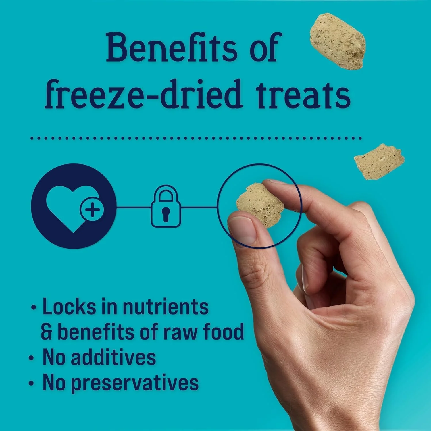 Stewart Freeze Dried Dog Treats, PuffPops Bacon and Cheese Recipe, Gluten Free, 2.8 Ounce Resealable Pouch, Made in USA, Dog Training Treats - Image 3