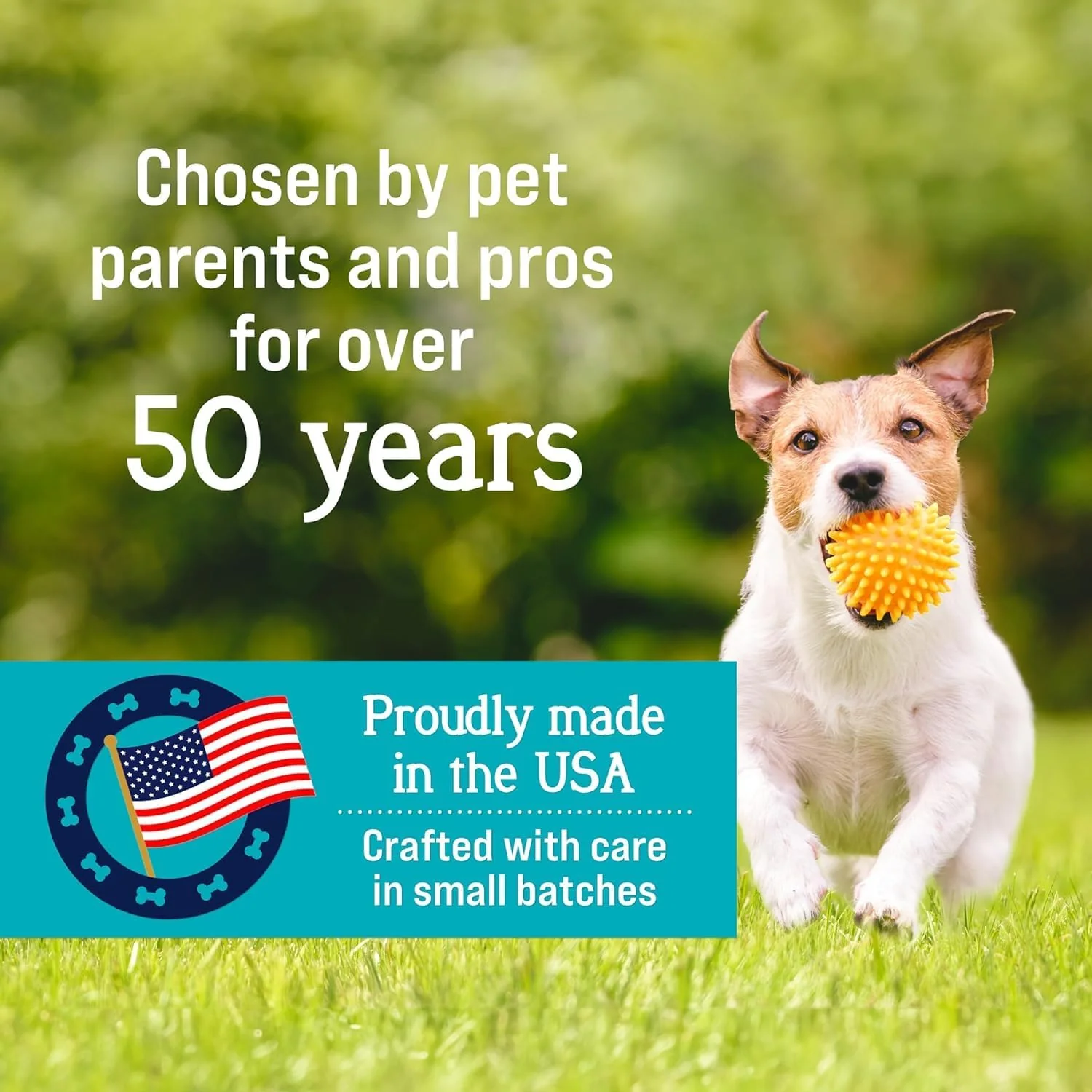 Stewart Freeze Dried Dog Treats, PuffPops Bacon, Egg, and Cheese Recipe, Gluten Free, 2.8 Ounce Resealable Pouch, Made in USA, Dog Training Treats - Image 2