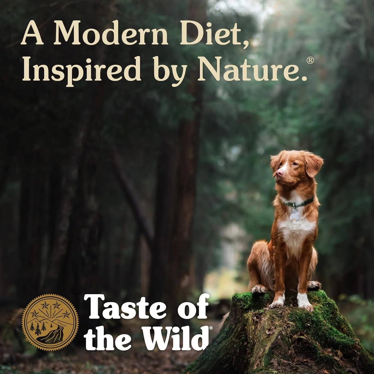 Taste Of The Wild Pacific Stream Dry Dog Food - Image 3