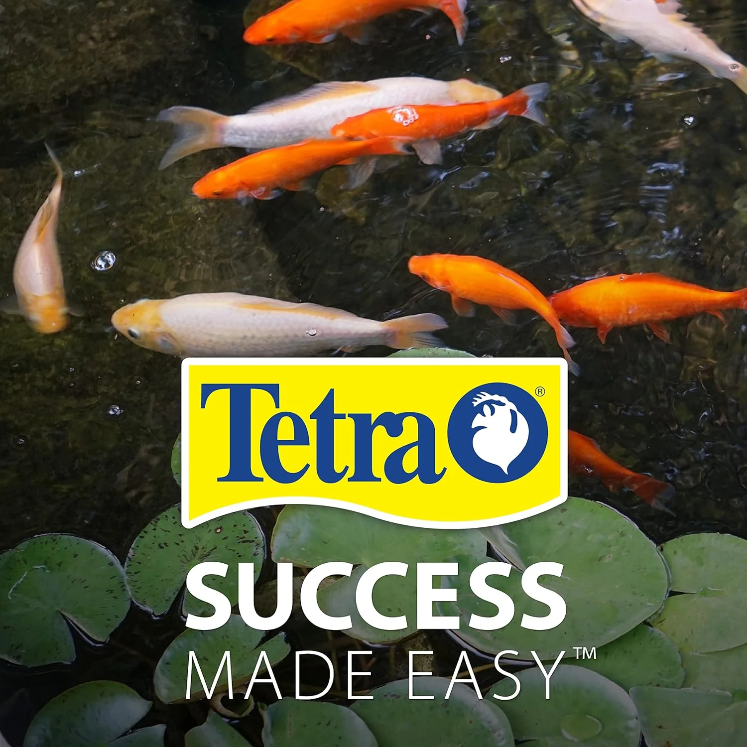 Tetra 77188 Algae Control - Image 6