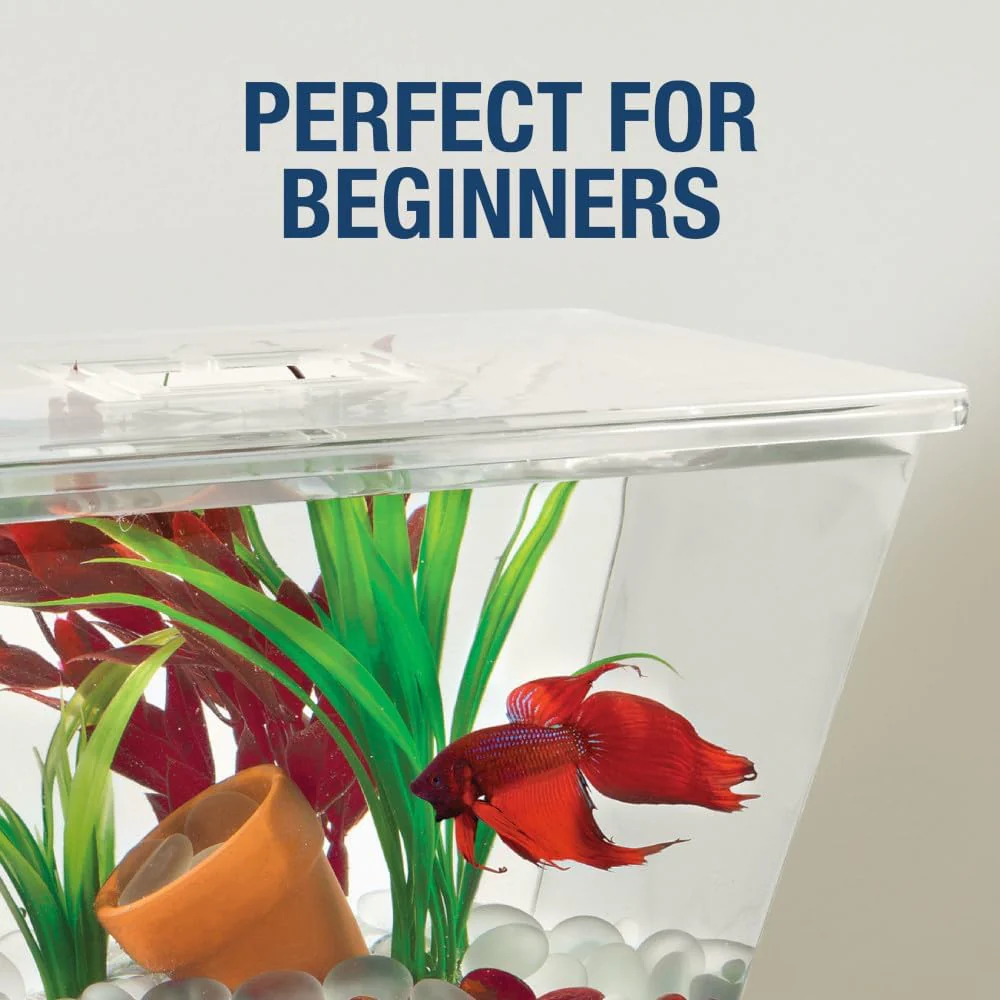 Tetra LED Betta Tank Kit 1 Gallon, Trapezoid aquarium With Base Lighting (24050) - Image 6