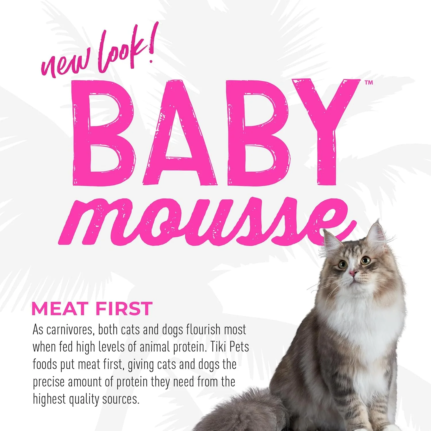 Tiki Cat Baby, Chicken and Chicken Liver, Grain-Free and Nutrient Rich, Wet Cat Food for Kittens 4 Weeks+ - Image 7