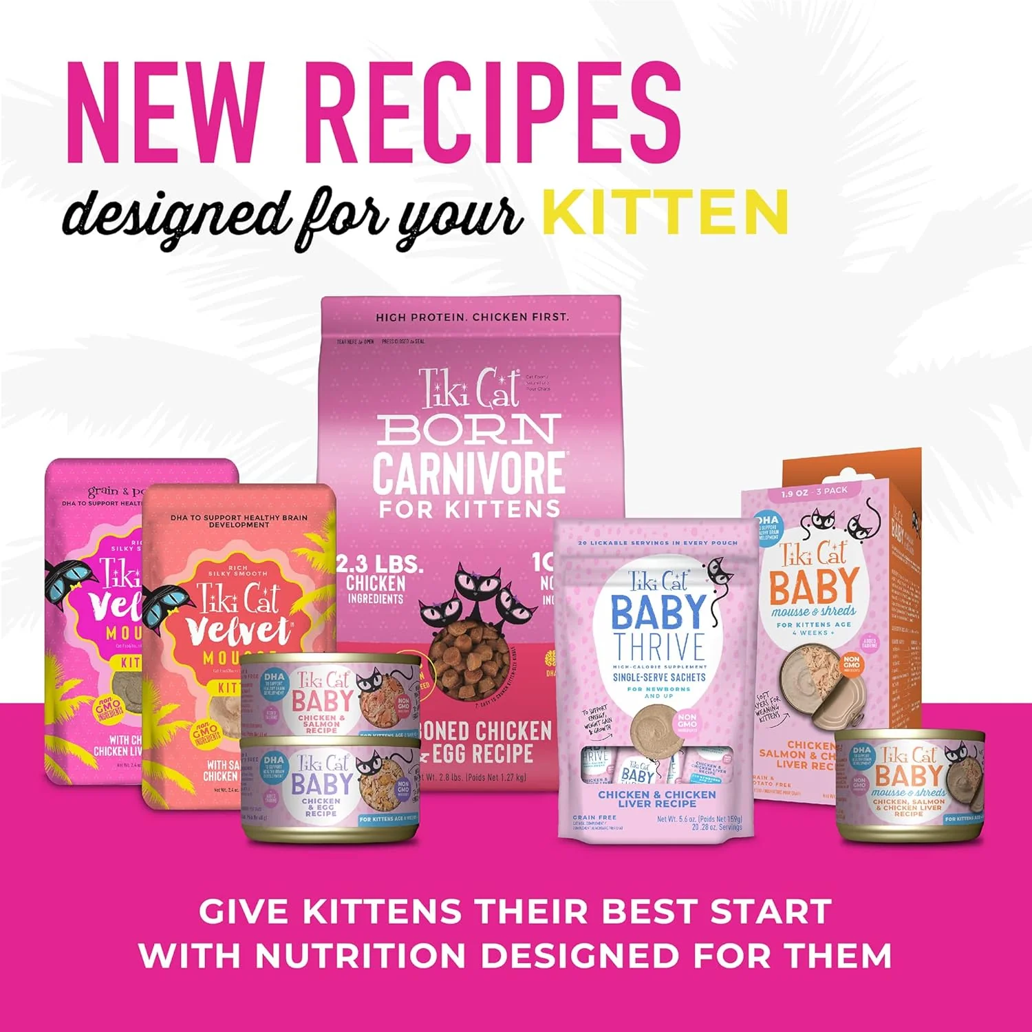 Tiki Cat Baby, Chicken & Salmon, High-Protein and 100% Non-GMO Ingredients, Wet Cat Food for Kittens 8 Weeks+ - Image 6