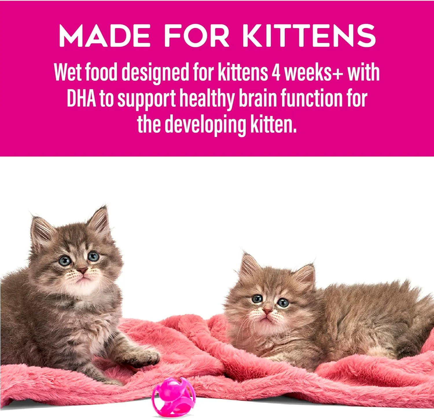 Tiki Cat Baby Pate Wet Cats Food for Kittens, Chicken, Salmon & Chicken Liver - Image 7