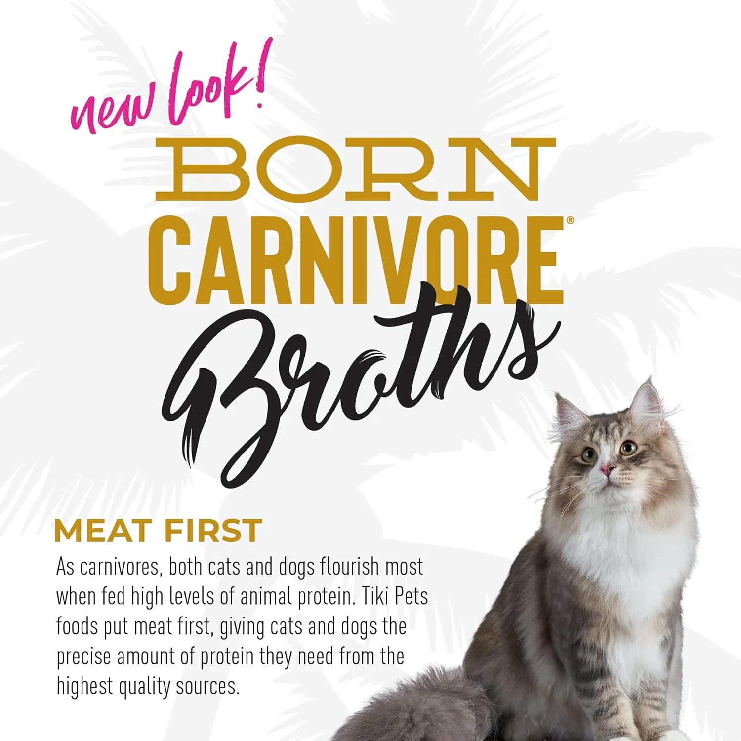 Tiki Cat Born Carnivore Broths, Chicken Recipe, Hydration and Flavor Supplement Cat Food Topper - Image 7