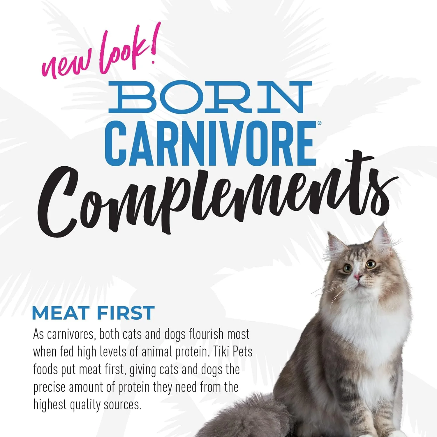 Tiki Cat Born Carnivore Complements Variety Pack, Chicken Blends, Wet, High-Protein & High-Moisture Cat Food Topper - Image 8