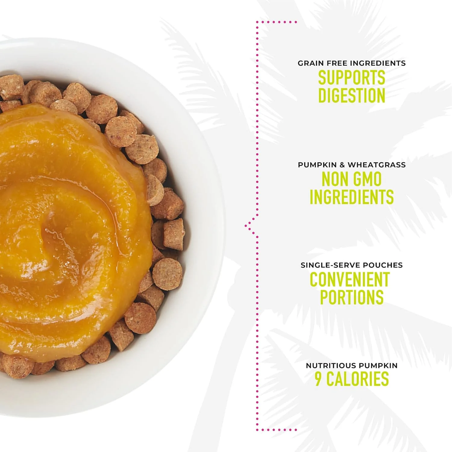 Tiki Cat Born Carnivore Functions Digestion, Pumpkin Recipe Puree, Formulated to Support Healthy Digestion, Mousse Cat Food Topper - Image 5
