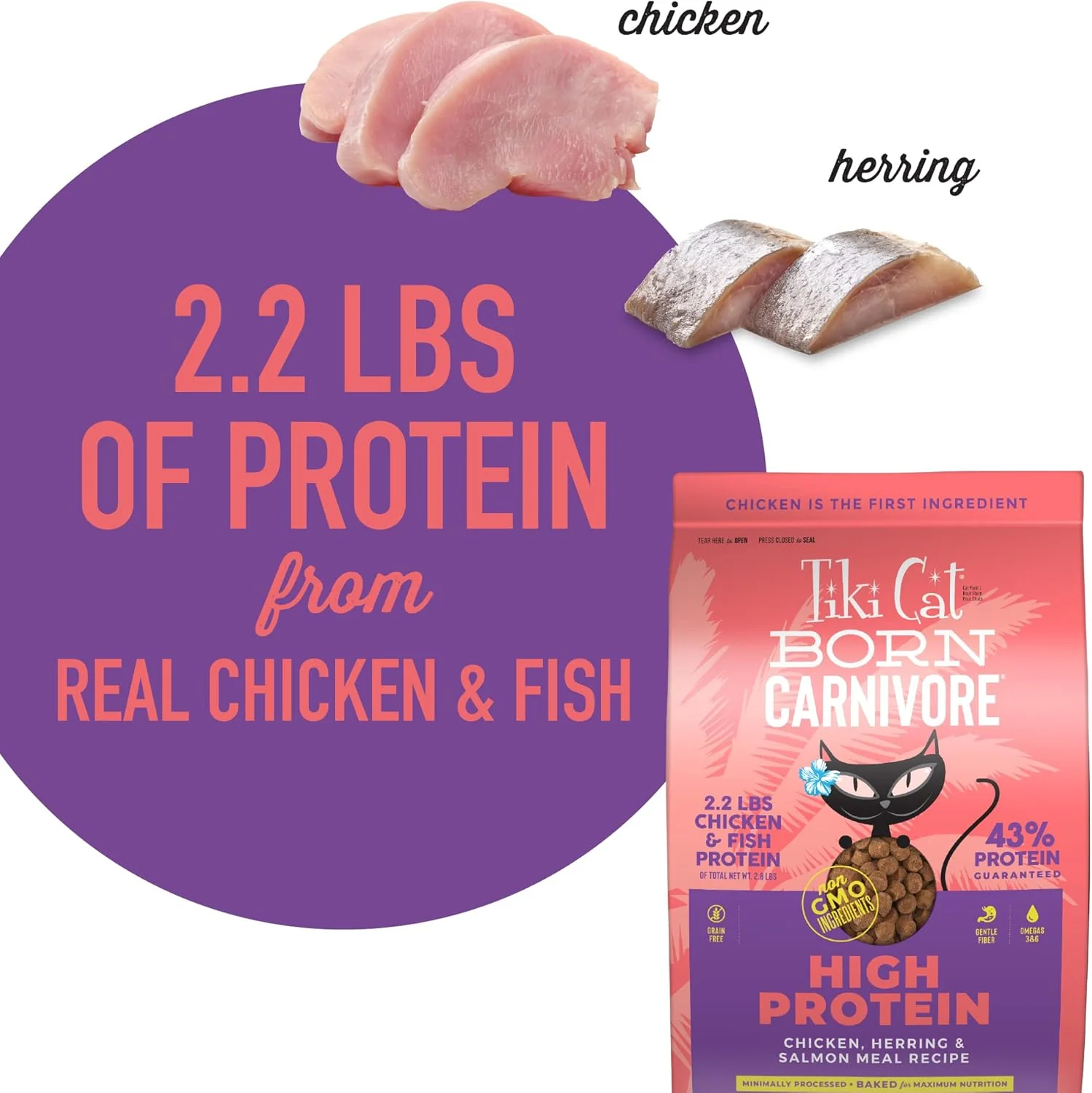 Tiki Cat Born Carnivore High Protein, Chicken, Herring & Salmon Meal, Grain-Free Baked Kibble to Maximize Nutrients, Dry Cat Food - Image 5