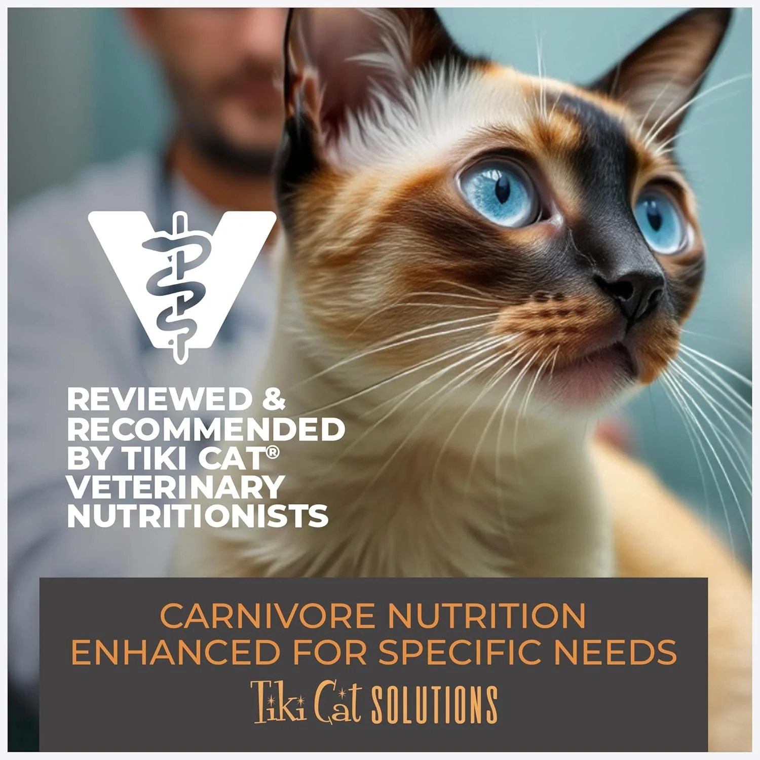 Tiki Cat Solutions Dry Cat Food, Digestion, Lamb & Egg - Image 9