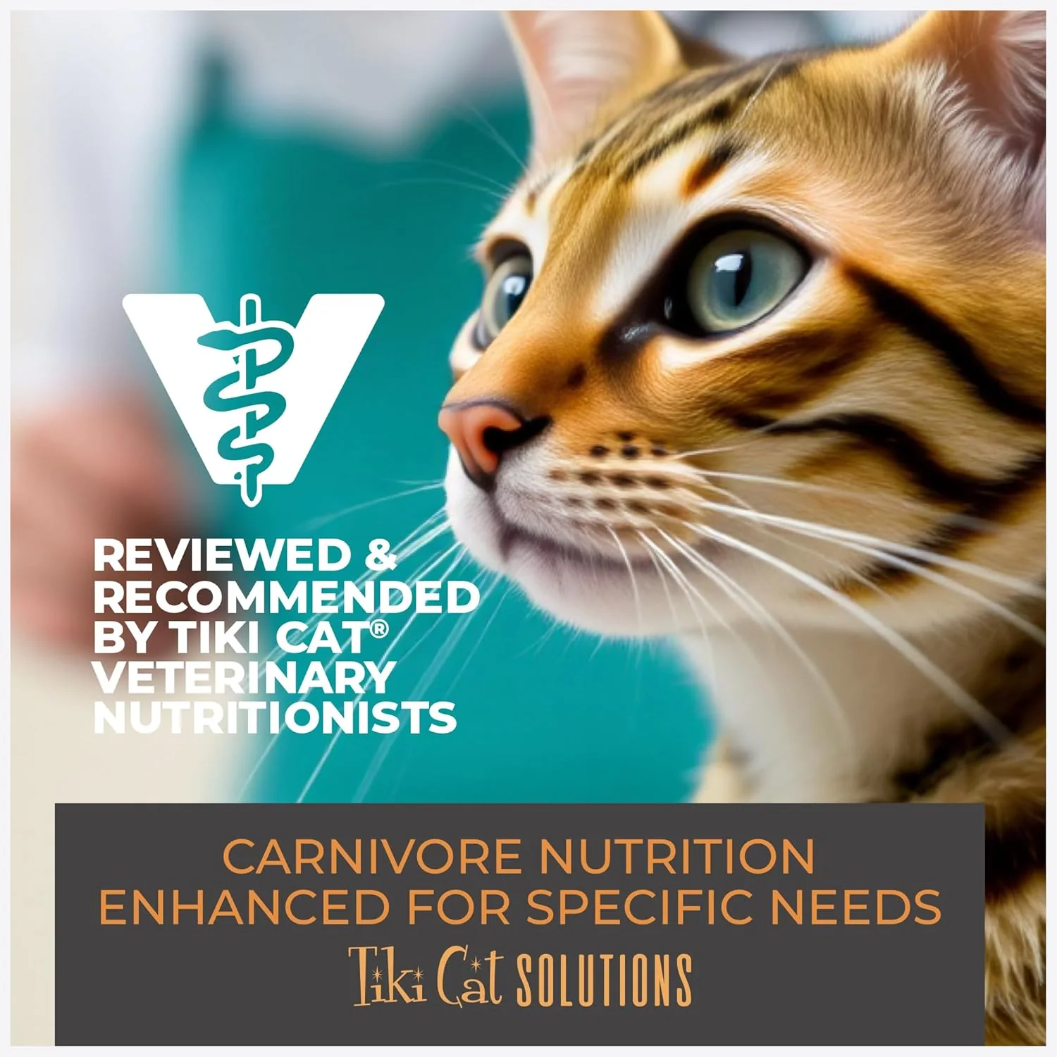 Tiki Cat Solutions Dry Cat Food, Mineral Balance, Chicken - Image 8