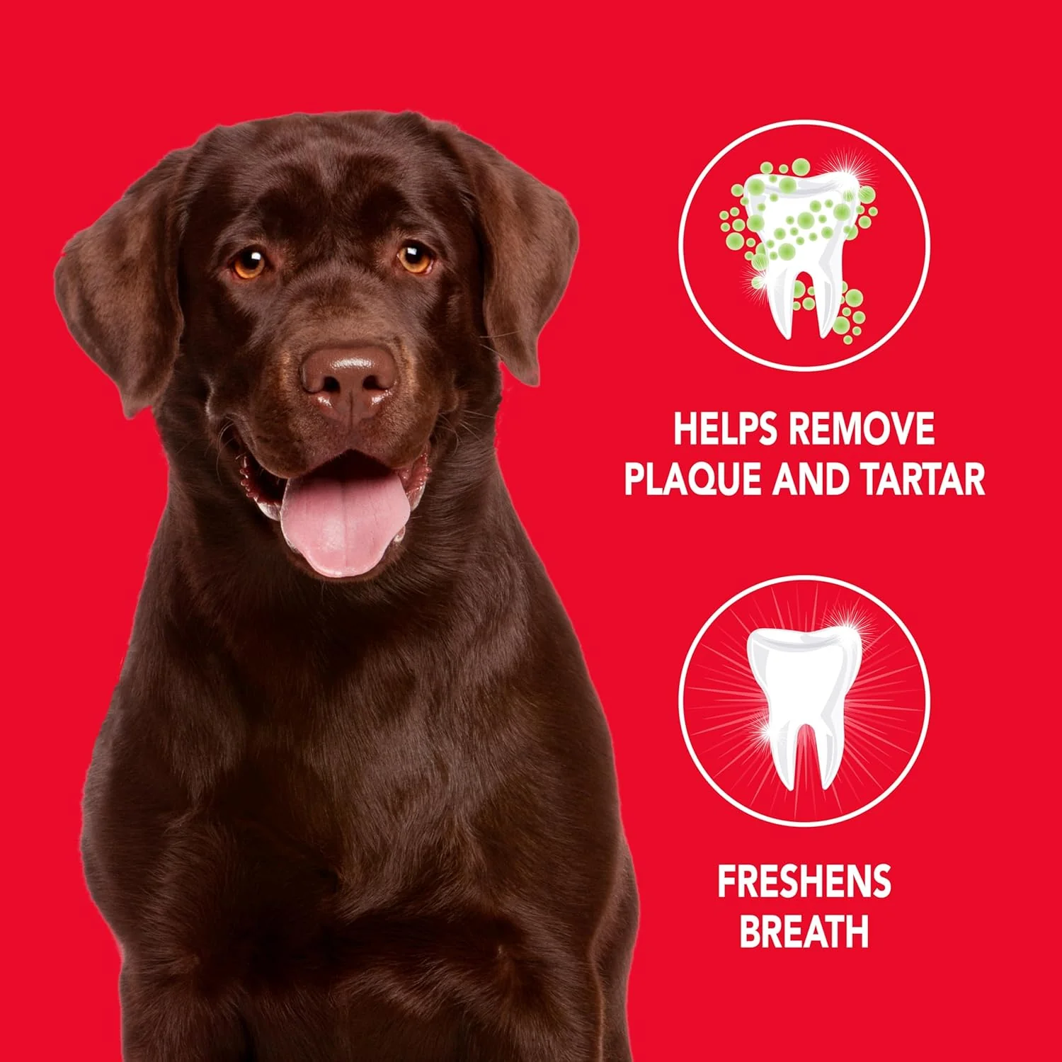 Petrodex Toothpaste for Dogs and Puppies, Cleans Teeth and Fights Bad Breath, Reduces Plaque and Tartar Formation, 2.5oz - Image 3