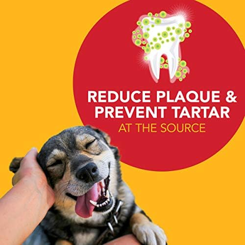 Petrodex Toothpaste for Dogs and Puppies, Cleans Teeth and Fights Bad Breath, Reduces Plaque and Tartar Formation, 2.5oz - Image 7