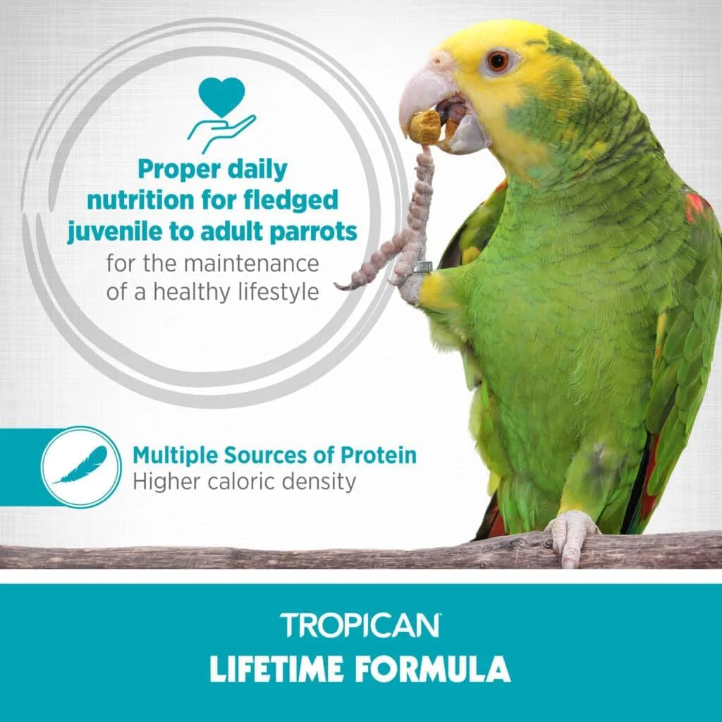 Tropican Bird Food, Hagen Parrot Food with Peanuts & Sunflower Seeds, Maintenance Parrot Granules 2 mm, Lifetime Formula, 1.8 lb Bag - Image 3