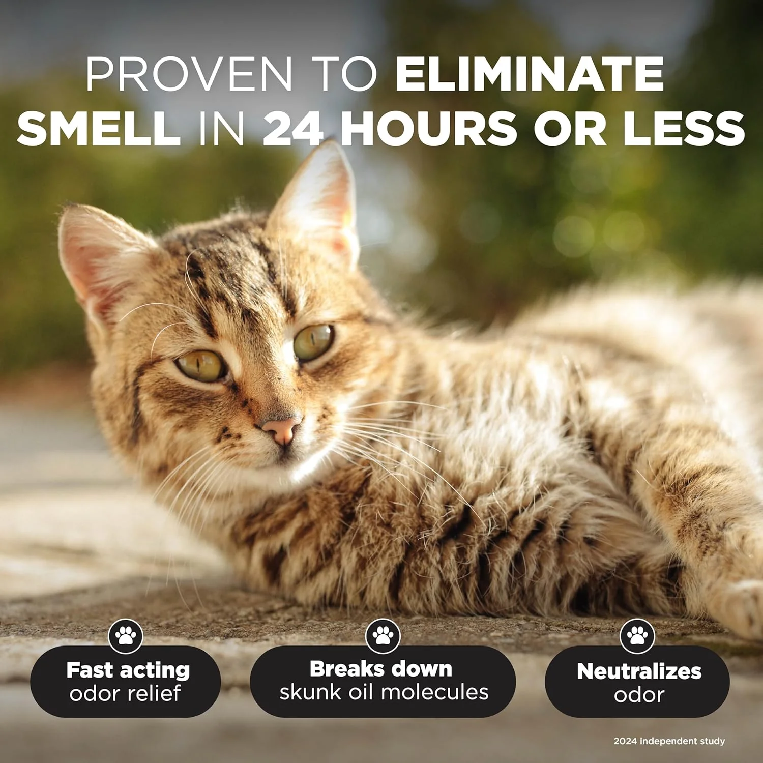 TropiClean Deodorizing Skunk Shampoo for Dogs - Extra Strength Skunk Odor Remover - 24 Hour Fast Relief 1 gal - Image 3