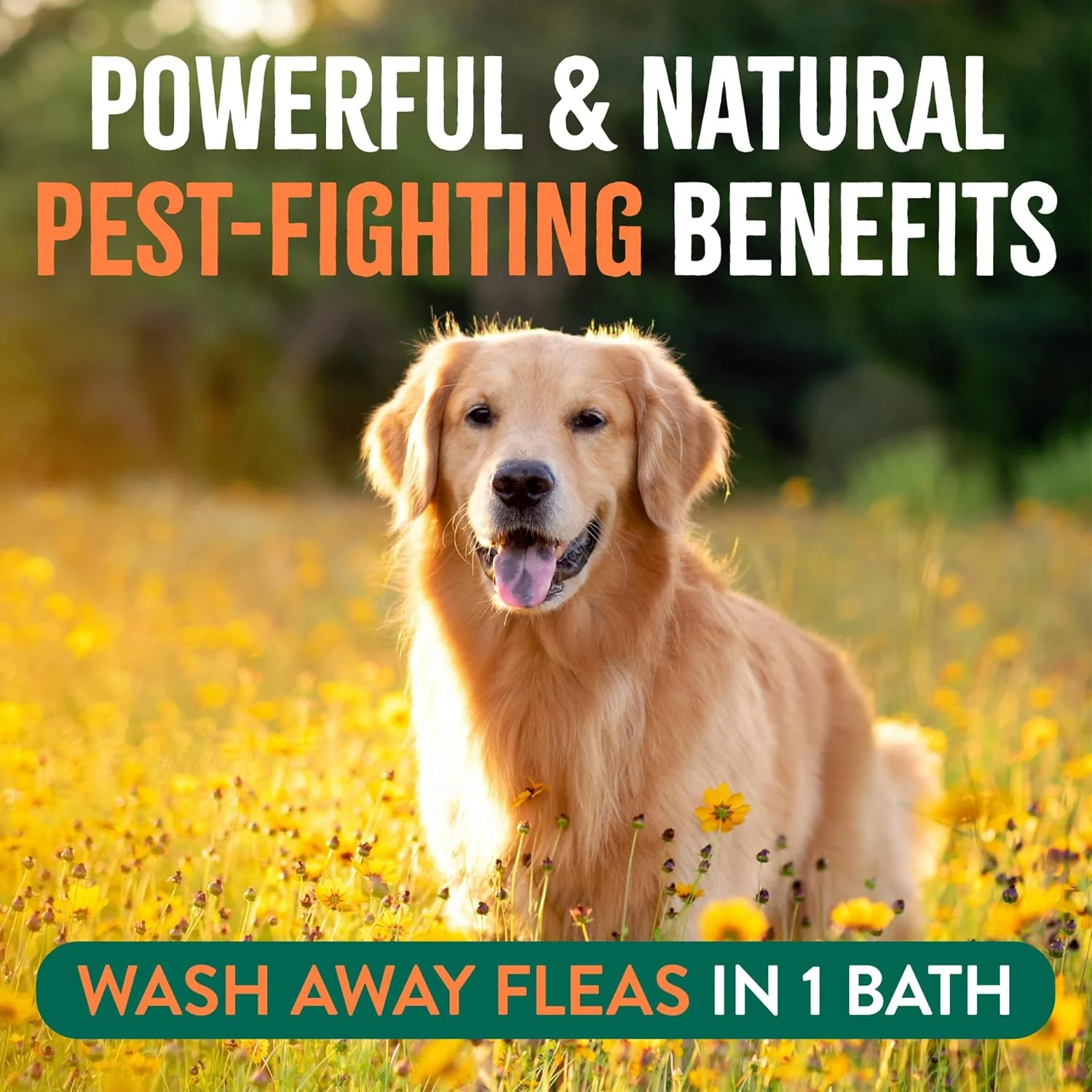TropiClean Max Strength Flea and Tick Shampoo Treatment for Dogs, Powerful & Natural Defense, Prevention for Large & Small Dogs, Made in USA, 20oz - Image 4