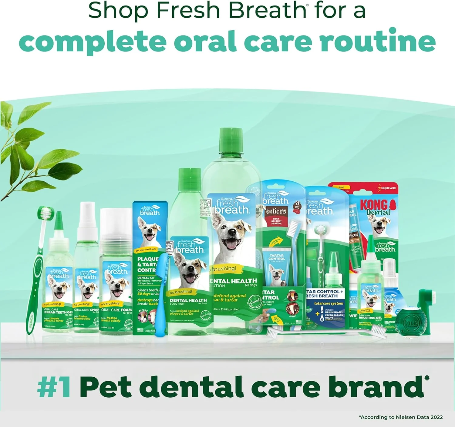 TropiClean Fresh Breath - Dog Toothpaste - Dog Teeth Cleaning Peanut Butter & Honey Flavor - Image 7