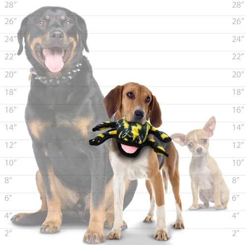 TUFFY - World's Tuffest Soft Dog Toy - Desert Phrog - Squeakers - Multiple Layers. Made Durable, Strong & Tough. Interactive Play (Tug, Toss & Fetch). Machine Washable & Floats (Regular) - Image 2