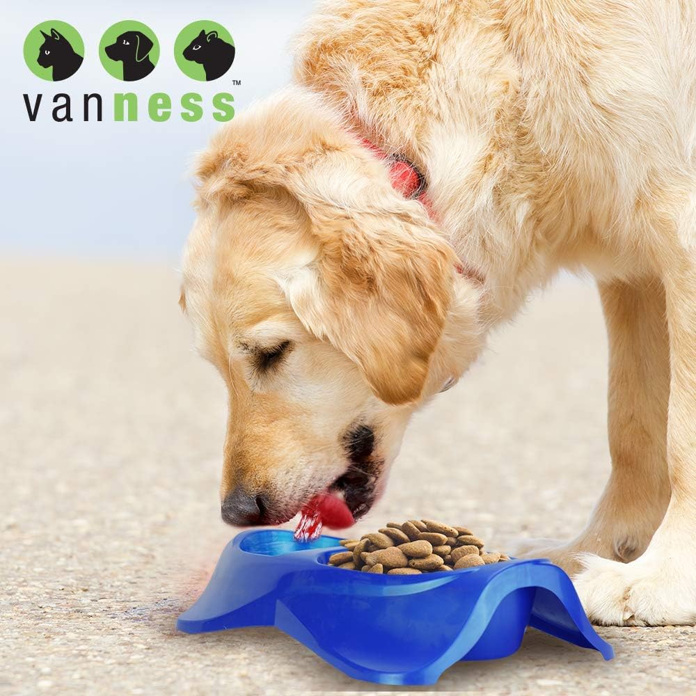 Van Ness Double Dish - Image 2