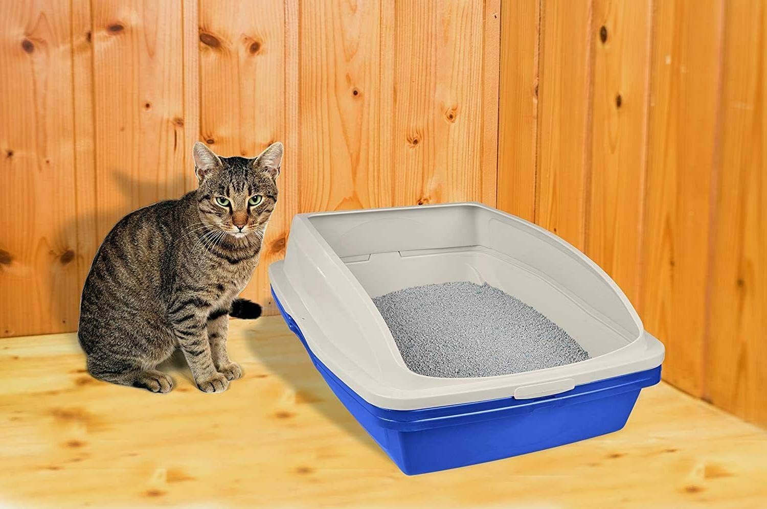 Van Ness Pets Large Sifting Cat Litter Box with Frame, High Sided, CP5 - Image 3