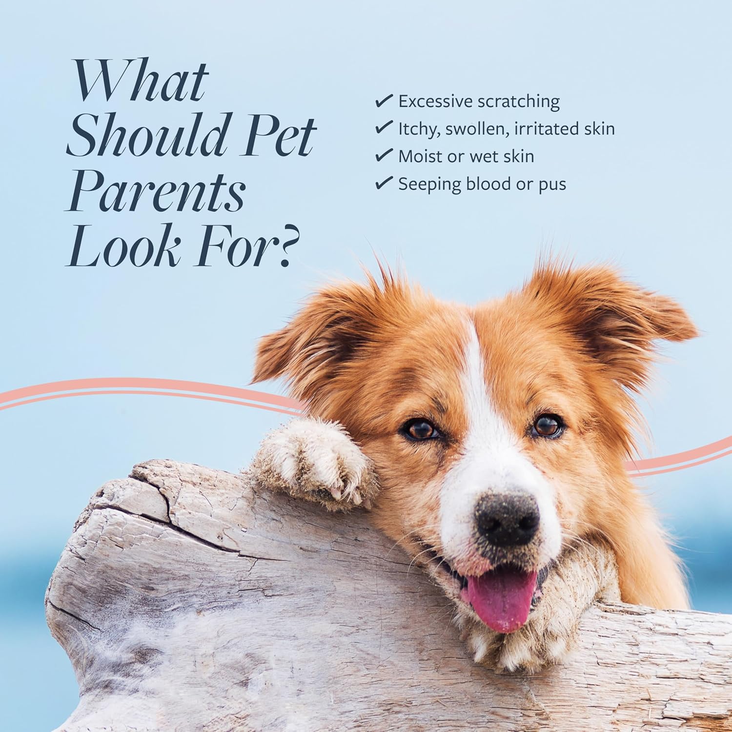 Veterinary Formula Clinical Care Hot Spot & Itch Relief Cat & Dog Medicated Conditioner – Oatmeal Conditions Skin for a Lustrous Coat, Formulated to Help Alleviate Itchy Skin - Image 3