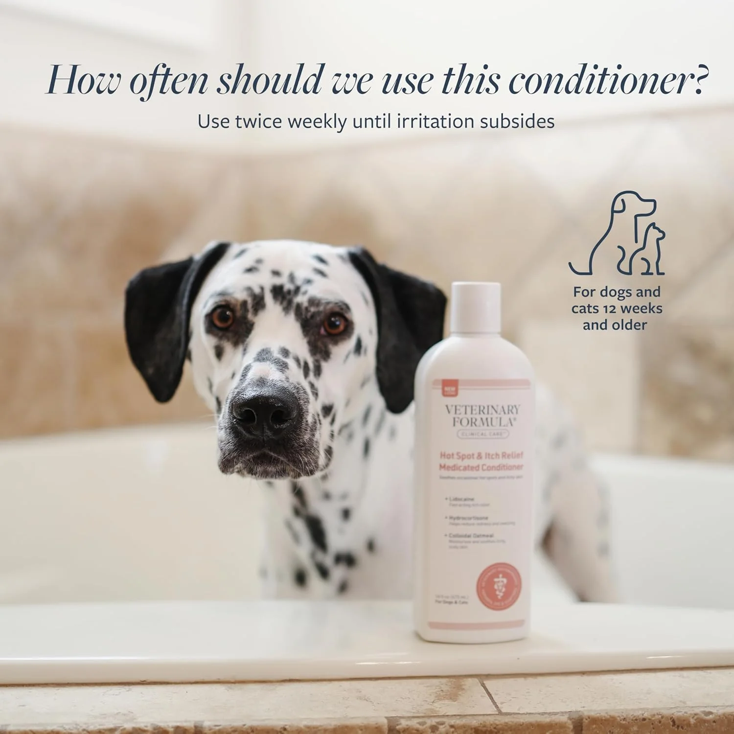 Veterinary Formula Clinical Care Hot Spot & Itch Relief Cat & Dog Medicated Conditioner – Oatmeal Conditions Skin for a Lustrous Coat, Formulated to Help Alleviate Itchy Skin - Image 5
