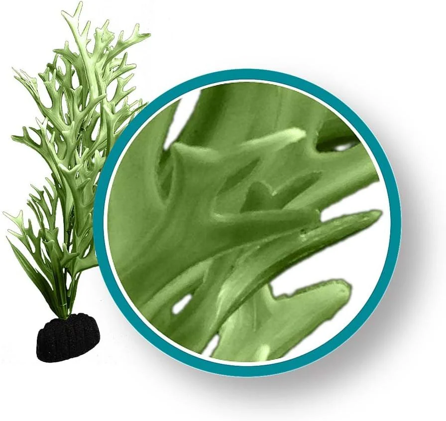 Weco Plant Green Giant Kelp Ornament, 9"