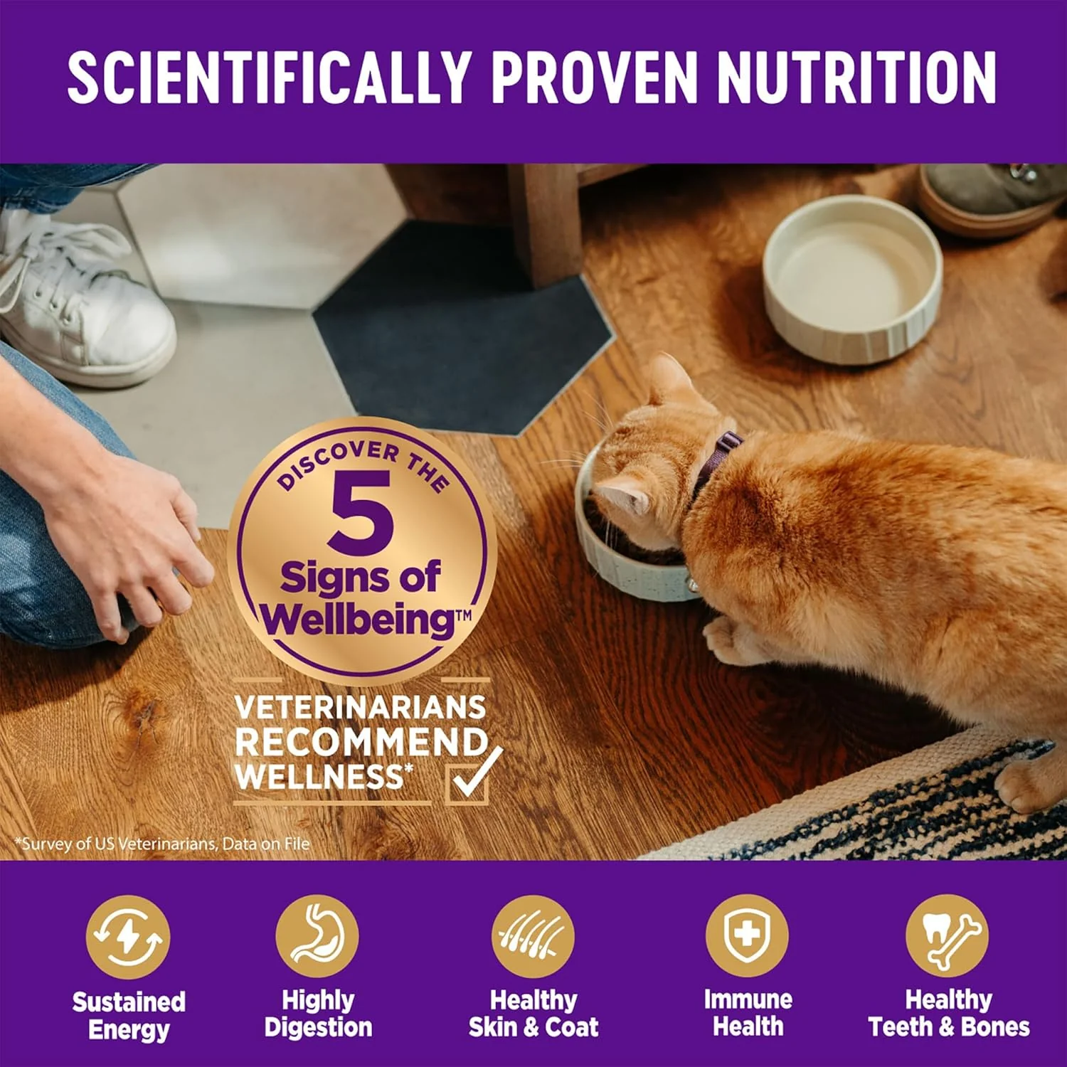 Wellness Complete Health Adult Dry Cat Food for Indoor and Outdoor Cats, Grain Free, Natural, Chicken & Chicken Meal - Image 4