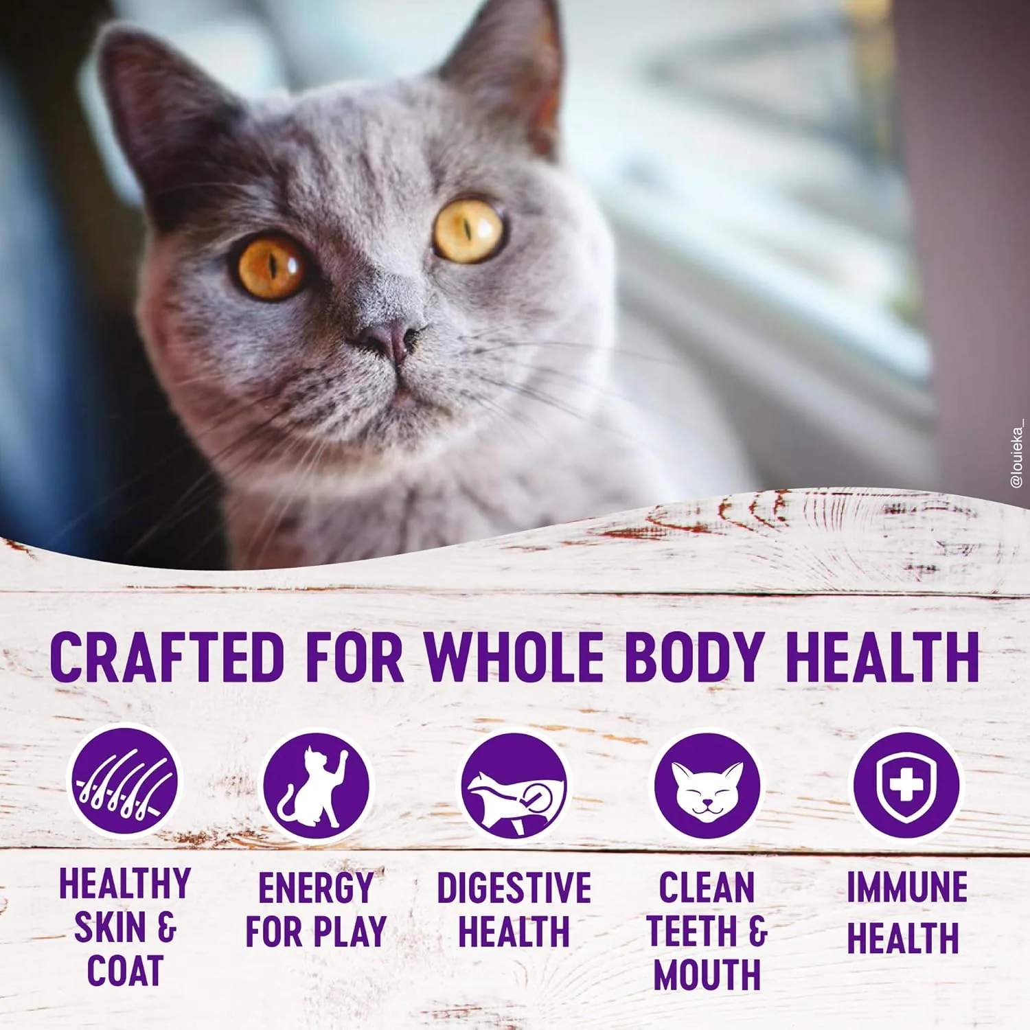 Wellness Complete Health Adult Dry Cat Food for Indoor Cats, Grain Free, Natural, Healthy Weight Chicken & Turkey Meal - Image 4