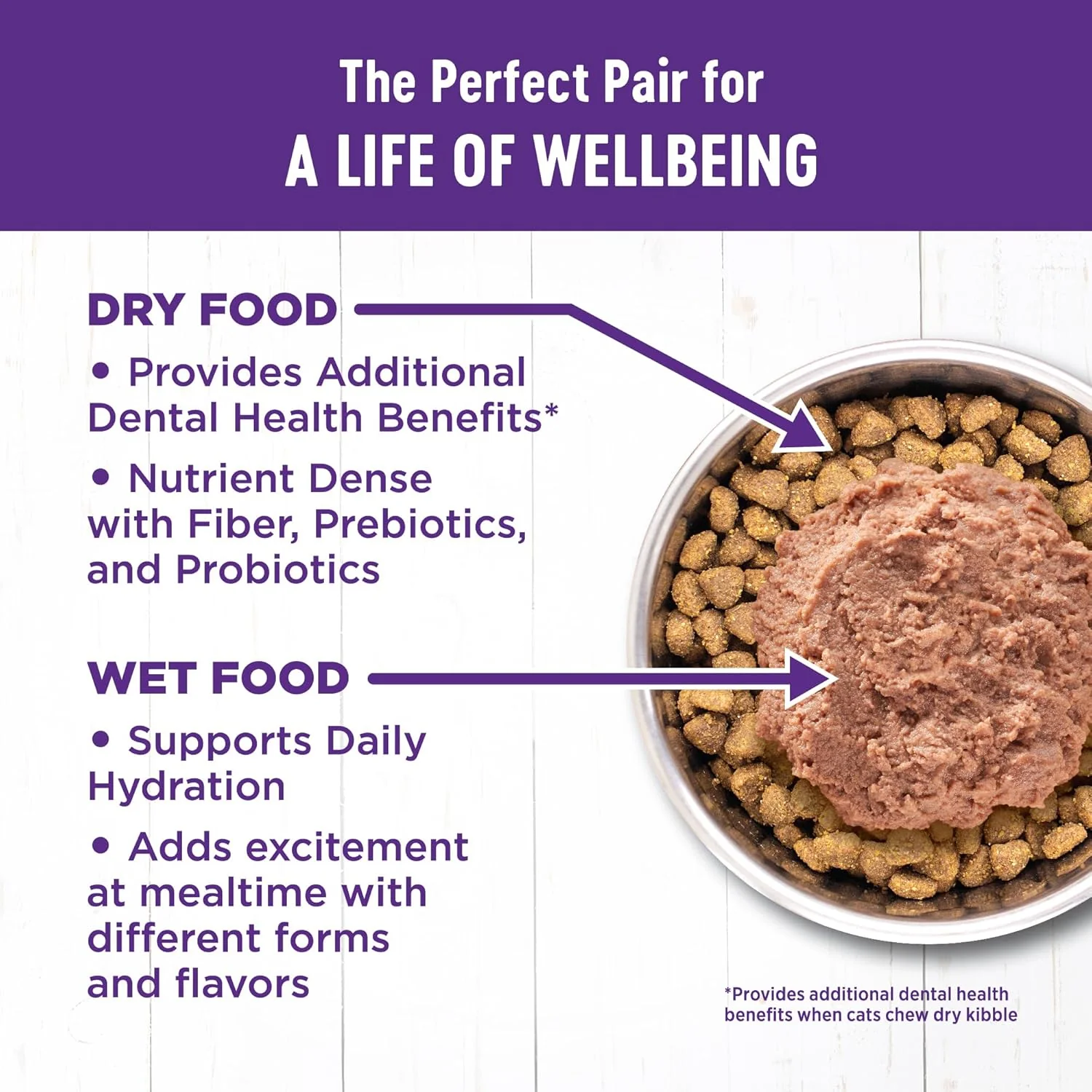 Wellness Complete Health Adult Dry Cat Food for Indoor Cats, Grain Free, Natural, Healthy Weight Chicken & Turkey Meal - Image 6