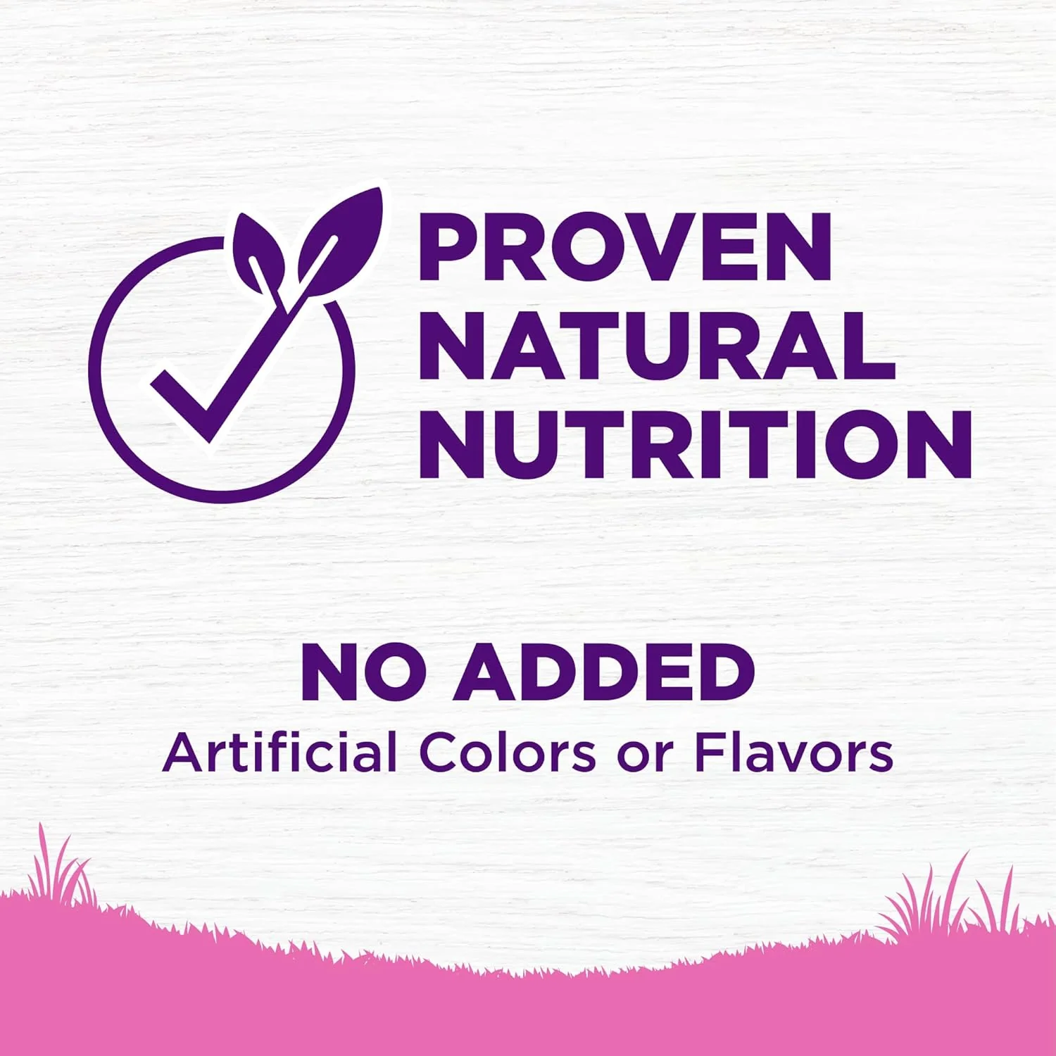 Wellness Complete Health Dry Dog Food for Small Dogs, Toy Breed, Wholesome Grains, Natural, Chicken, Brown Rice, & Peas Recipe - Image 5