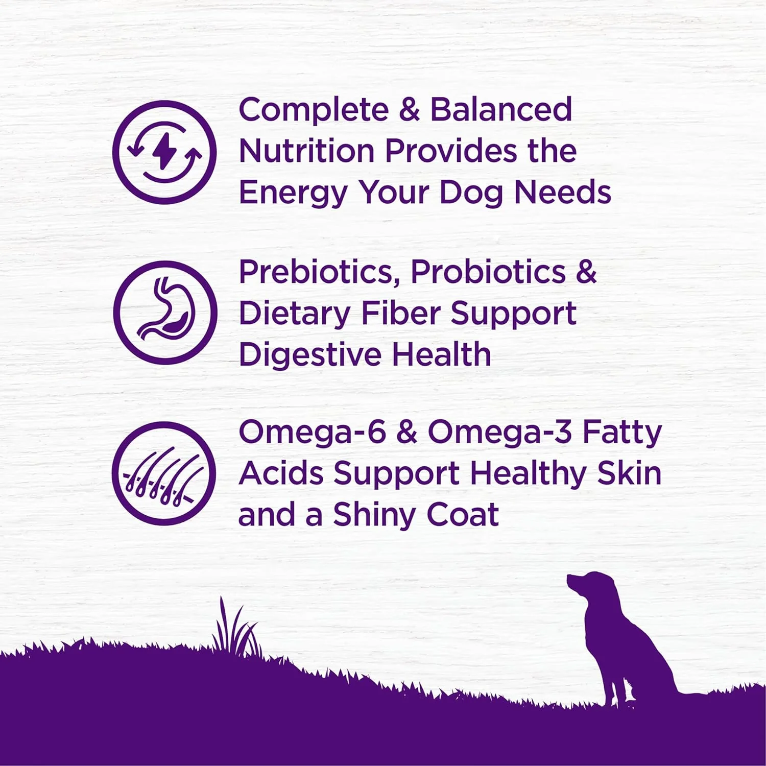 Wellness Complete Health Dry Dog Food, Grain Free, Natural, Chicken Recipe - Image 4